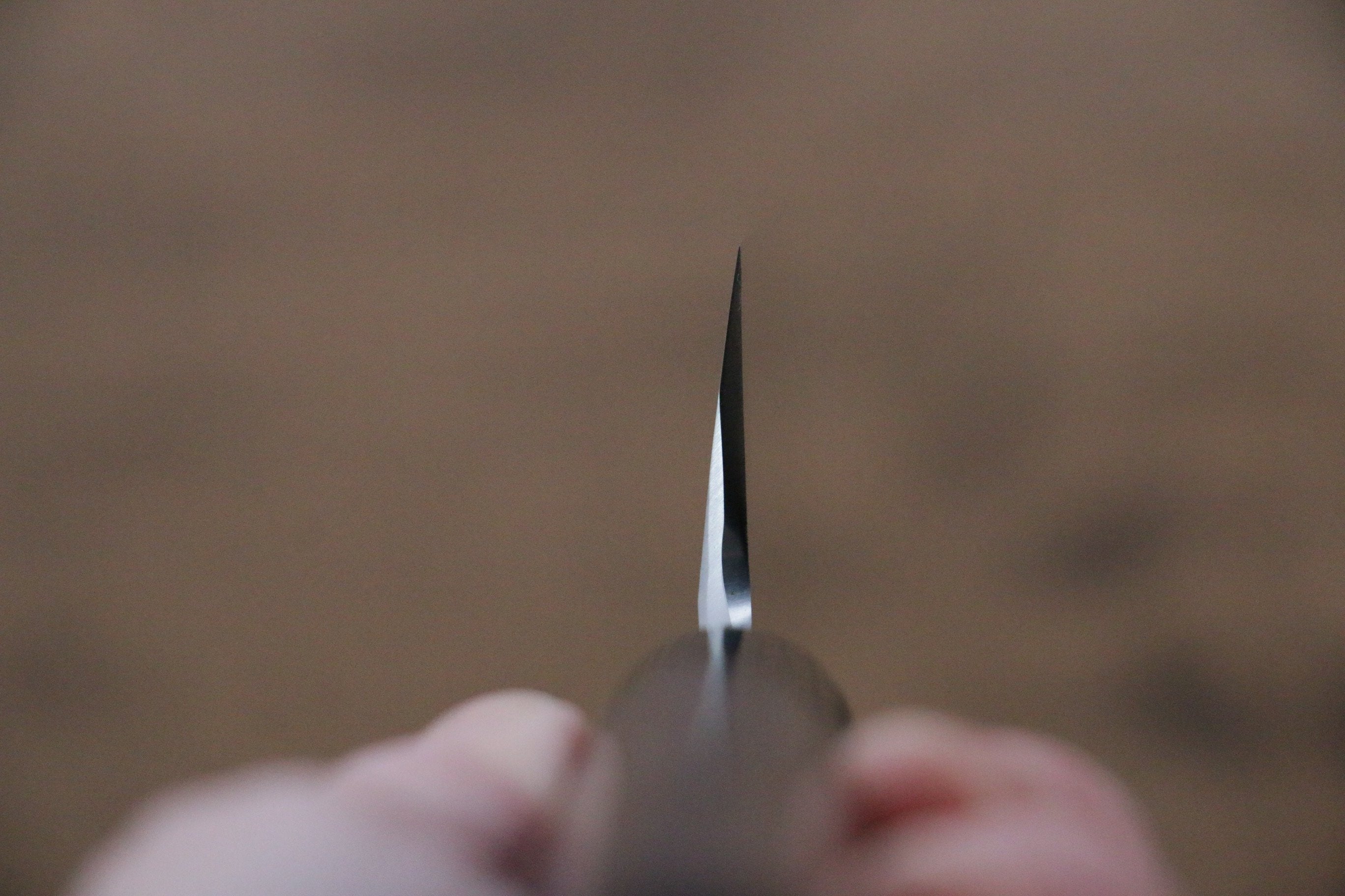 Jikko Silver Steel No.3 Kamagata Usuba  195mm Shitan Handle - Japanny - Best Japanese Knife