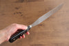 Sakai Takayuki INOX Molybdenum Palette knife 250mm - Japanny - Best Japanese Knife