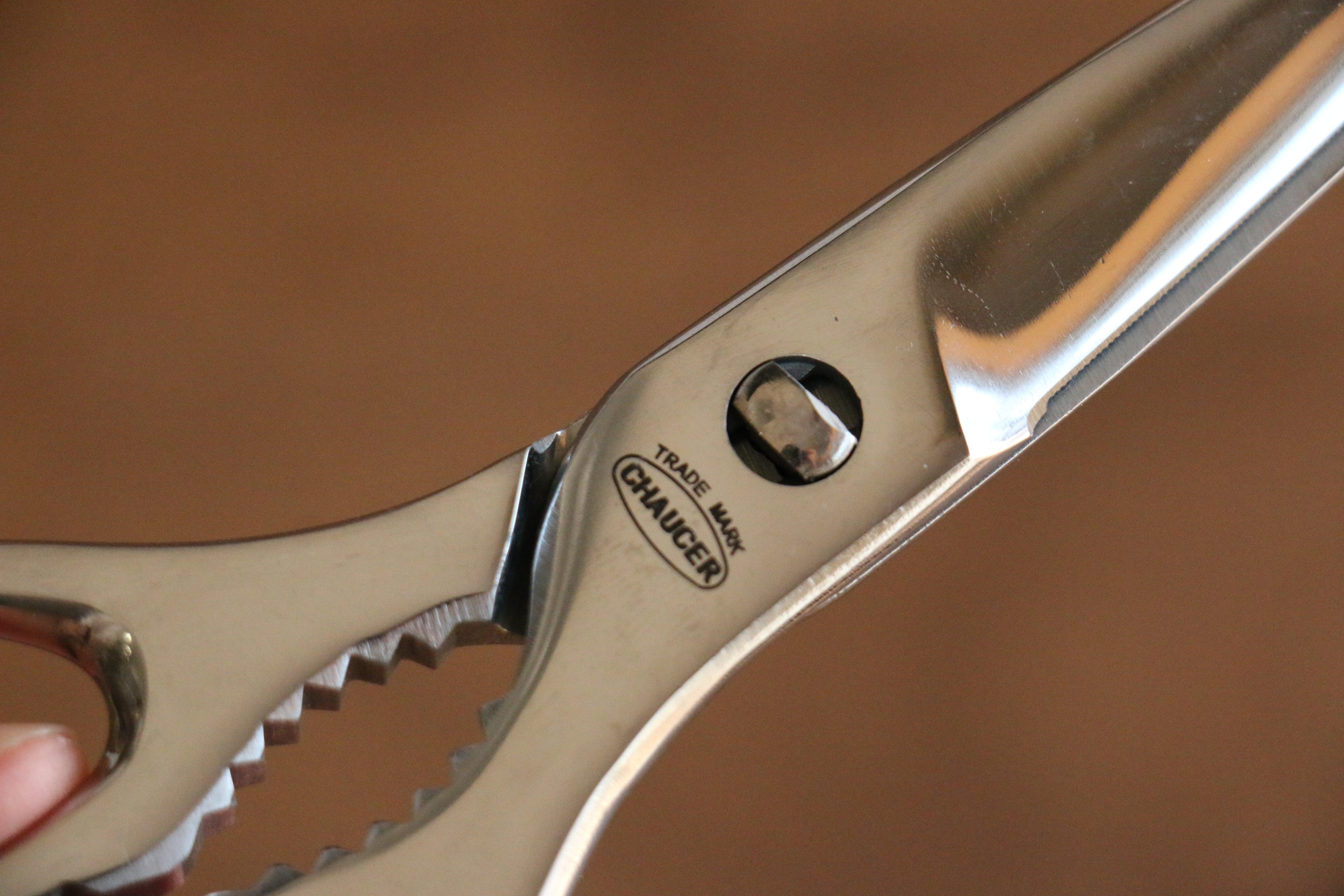 New Kokkusan Stainless Steel Kitchen Scissors - Japanny - Best Japanese Knife