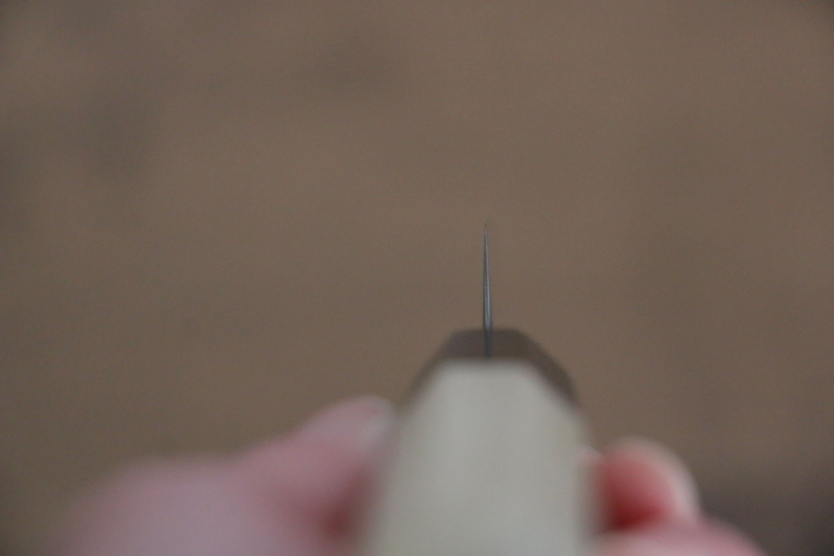 Jikko SG2 Kiritsuke Petty-Utility  70mm Magnolia Handle - Japanny - Best Japanese Knife