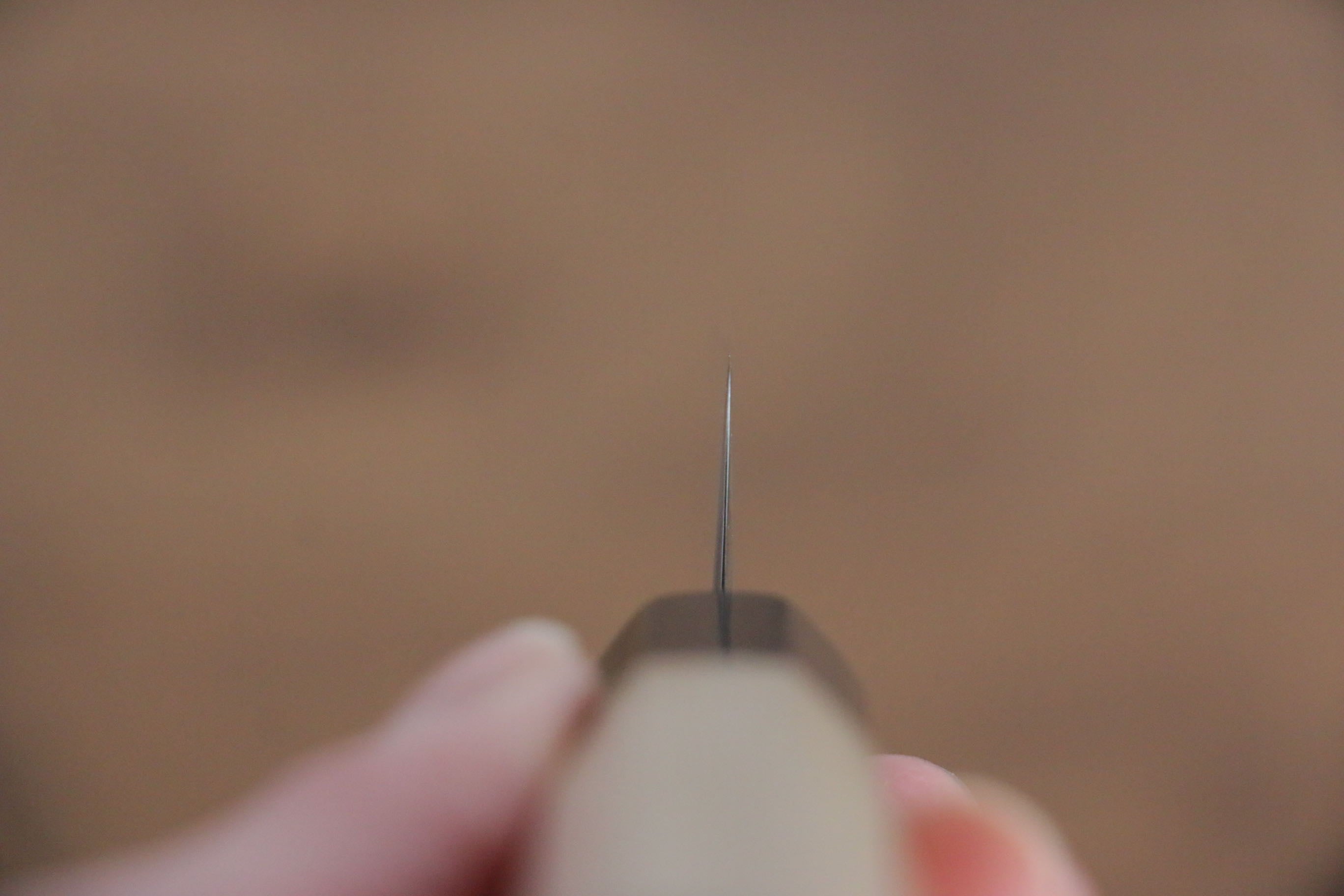 Jikko SG2 Kiritsuke Petty-Utility  125mm Magnolia Handle - Japanny - Best Japanese Knife