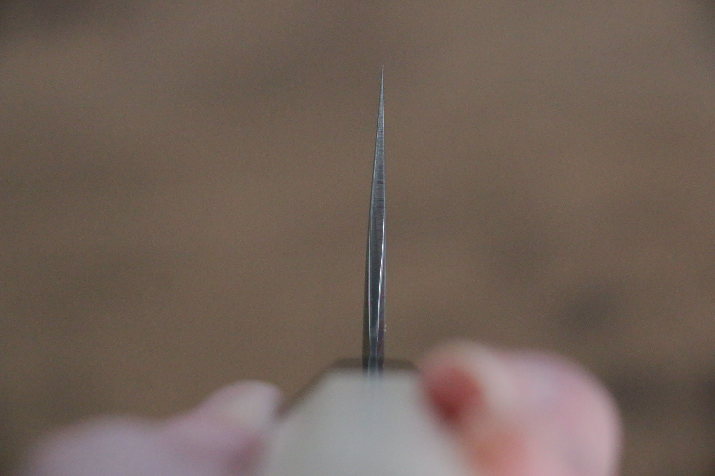 Jikko SG2 Kiritsuke Nakiri  155mm Magnolia Handle - Japanny - Best Japanese Knife