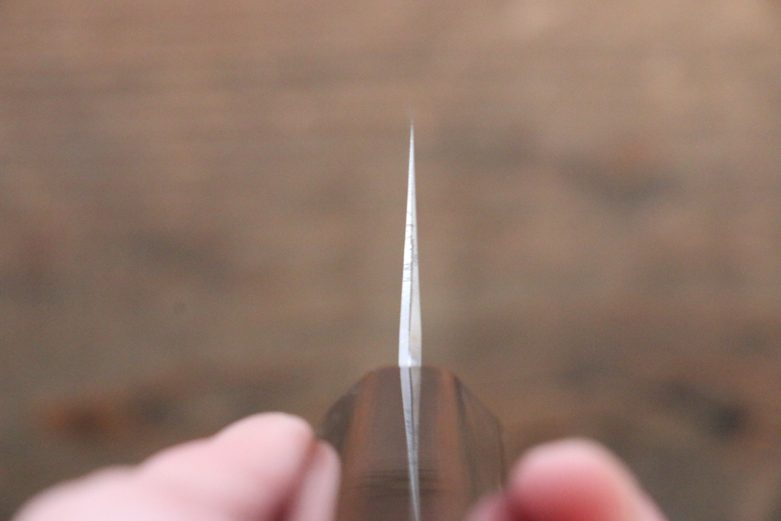 Seisuke Silver Steel No.3 Bunka 165mm Wood(Lacquered) Handle - Japanny - Best Japanese Knife