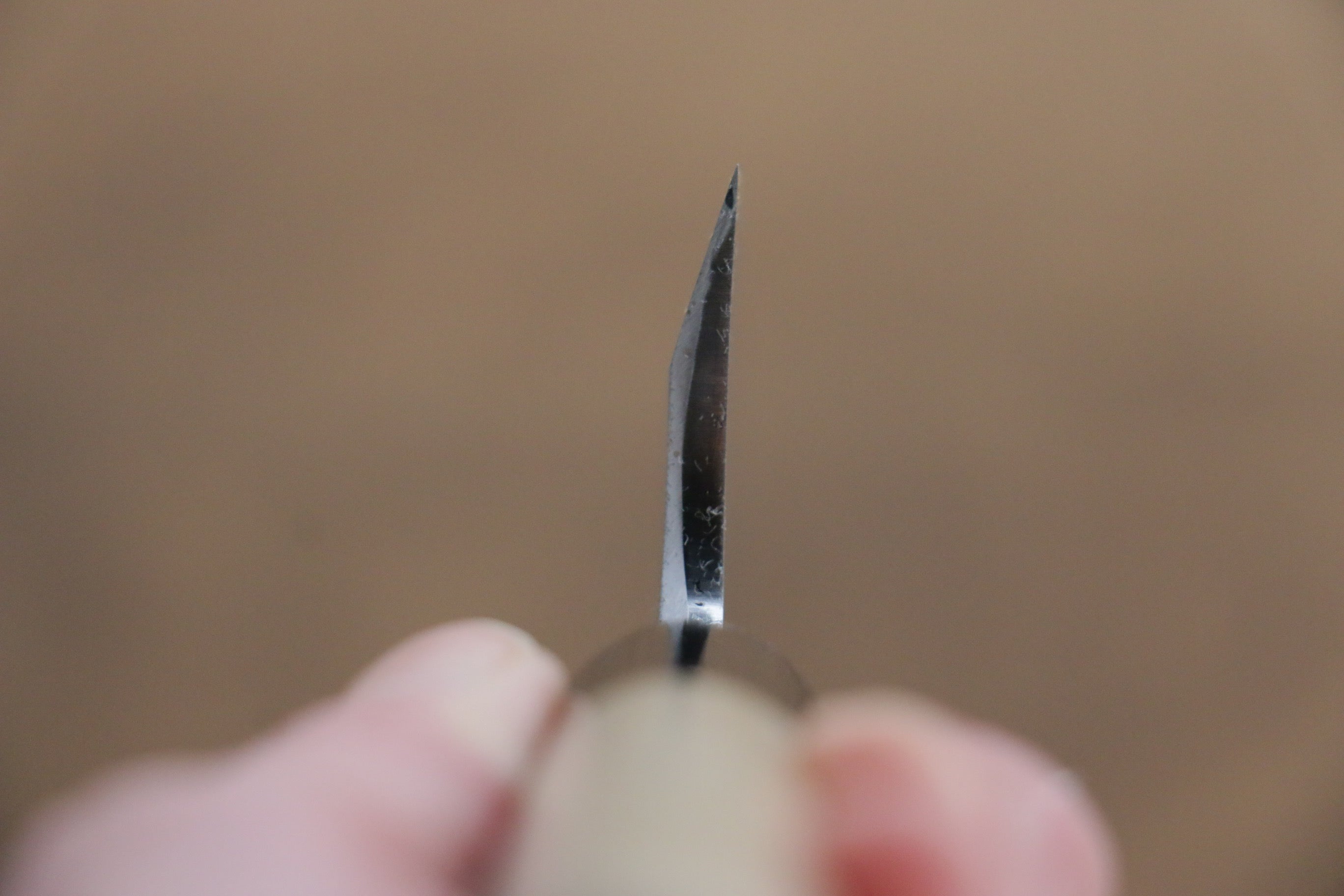 Sakai Takayuki Tokujyo White Steel No.2 Honesuki Boning 150mm Magnolia Handle - Japanny - Best Japanese Knife