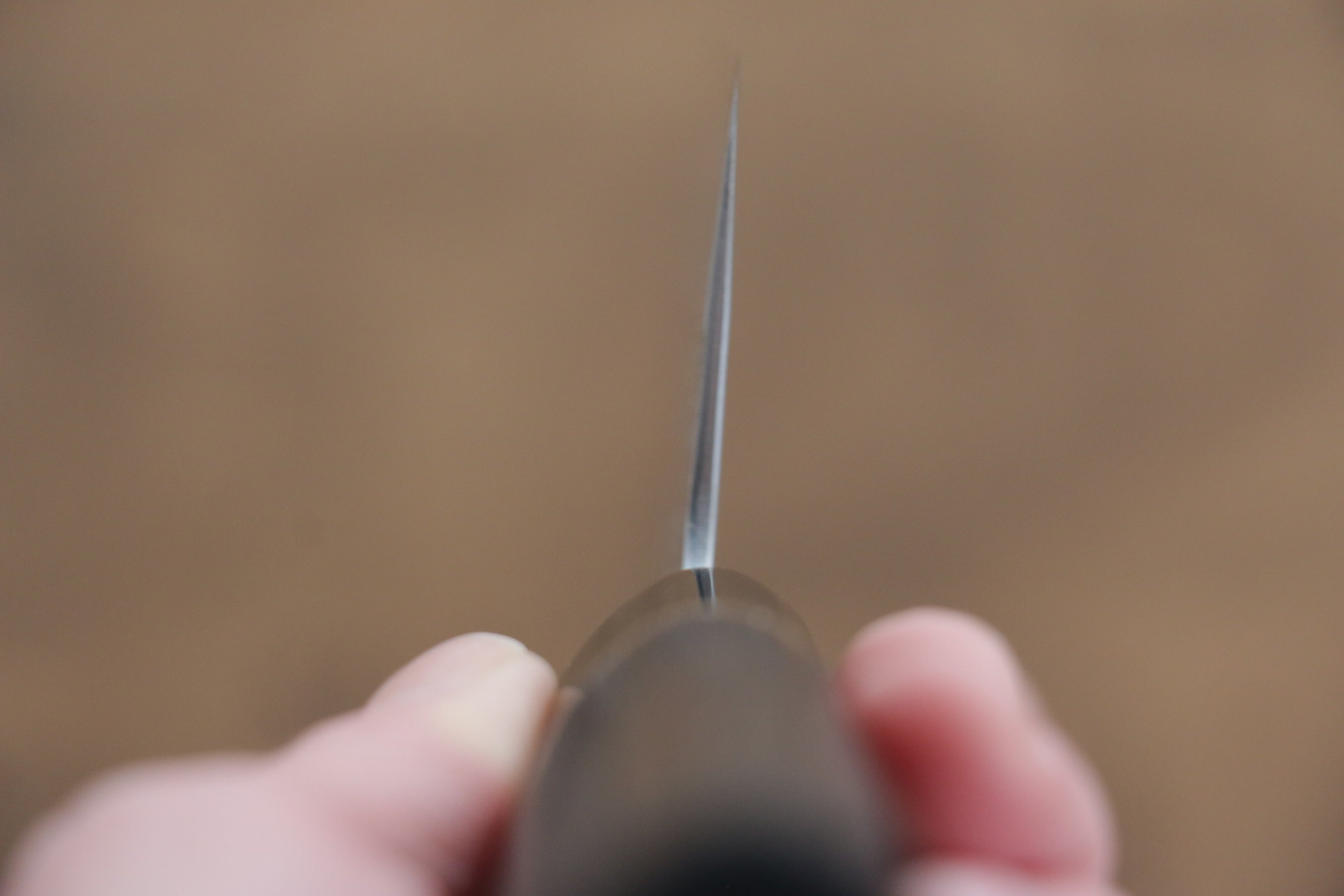 Seisuke SRS13 Nakiri 165mm Burnt Chestnut Handle - Japanny - Best Japanese Knife