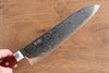 Seisuke Nami AUS10 Mirrored Finish Damascus Gyuto 210mm Red Pakka wood Handle - Japanny - Best Japanese Knife