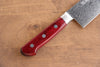 Seisuke Nami AUS10 Mirrored Finish Damascus Gyuto 210mm Red Pakka wood Handle - Japanny - Best Japanese Knife