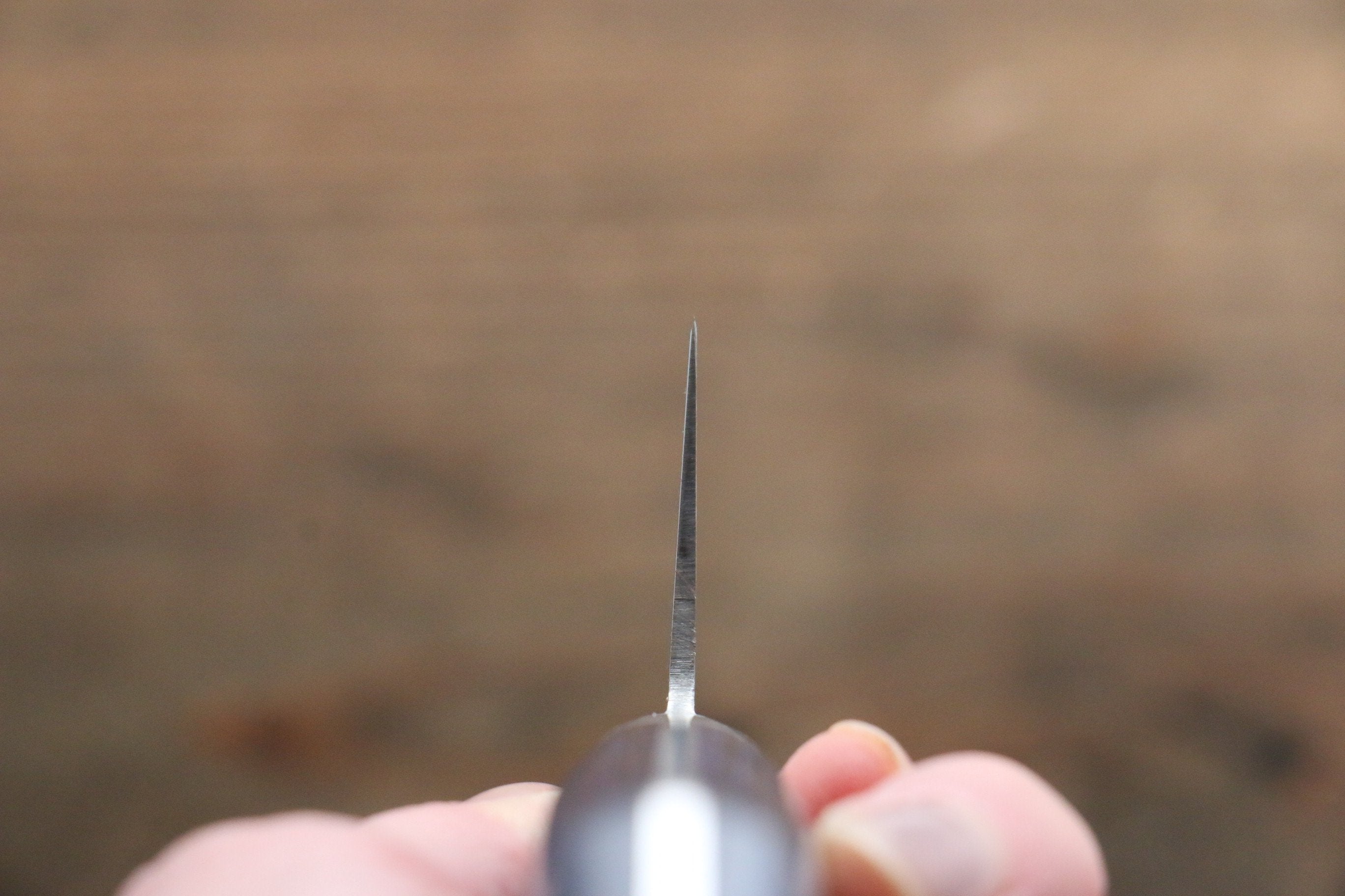 Seisuke Seiten Molybdenum Gyuto 210mm Blue Pakka wood Handle with Sheath - Japanny - Best Japanese Knife