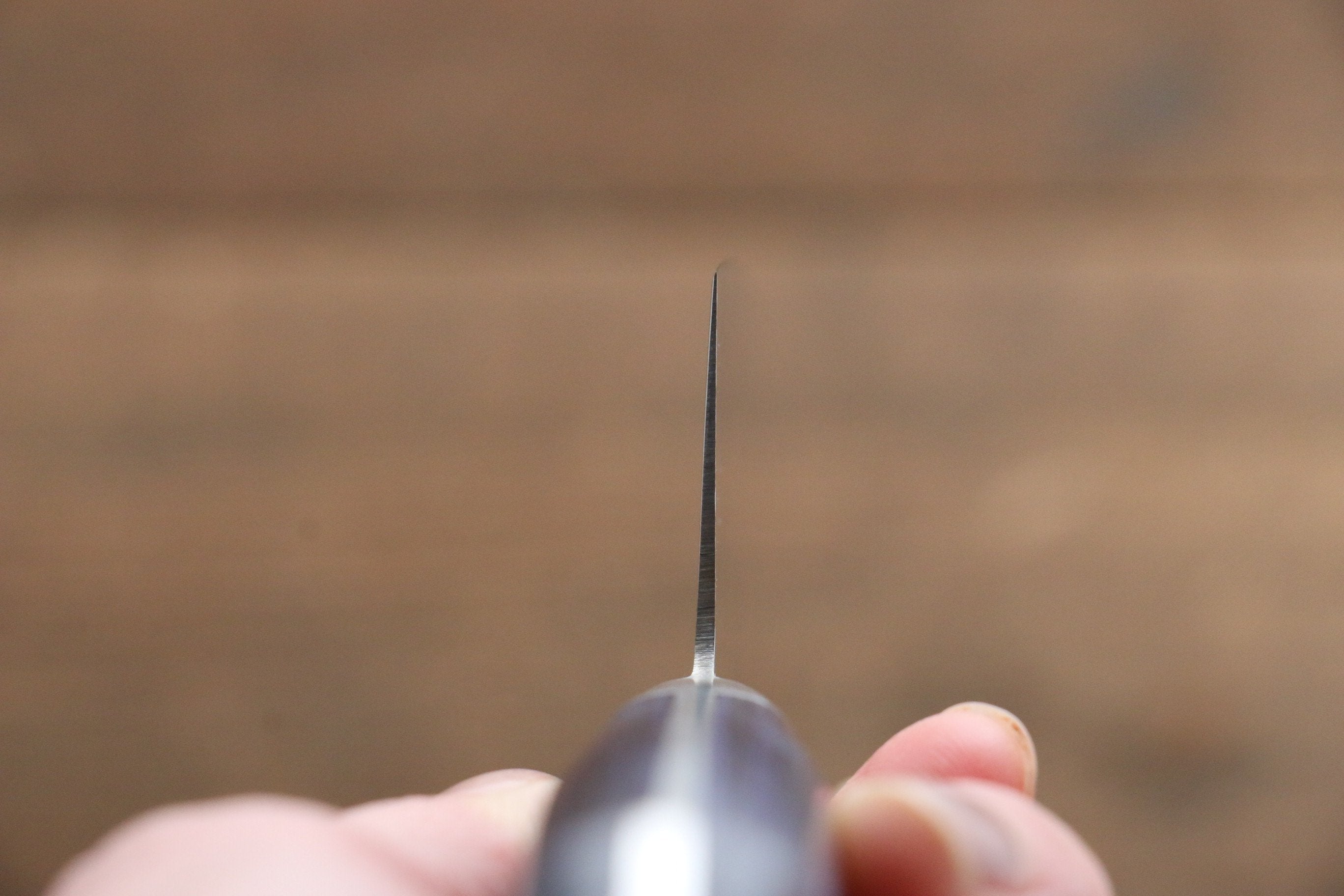 Seisuke Seiten Molybdenum Santoku 180mm Blue Pakka wood Handle with Sheath - Japanny - Best Japanese Knife