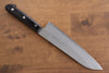 Seisuke Budou Silver Steel No.3 Nashiji Santoku 180mm Purple Pakka wood Handle - Japanny - Best Japanese Knife