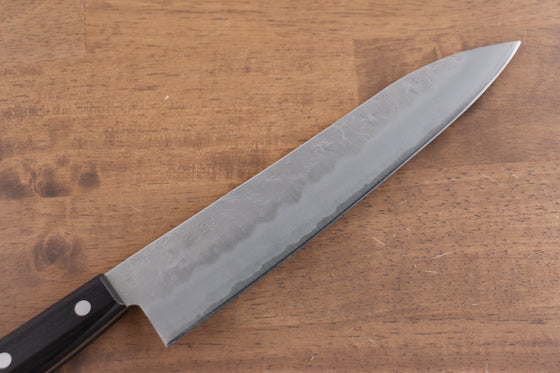 Seisuke Budou Silver Steel No.3 Nashiji Gyuto 210mm Purple Pakka wood Handle - Japanny - Best Japanese Knife