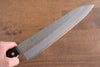 Seisuke Budou Silver Steel No.3 Nashiji Gyuto 210mm Purple Pakka wood Handle - Japanny - Best Japanese Knife