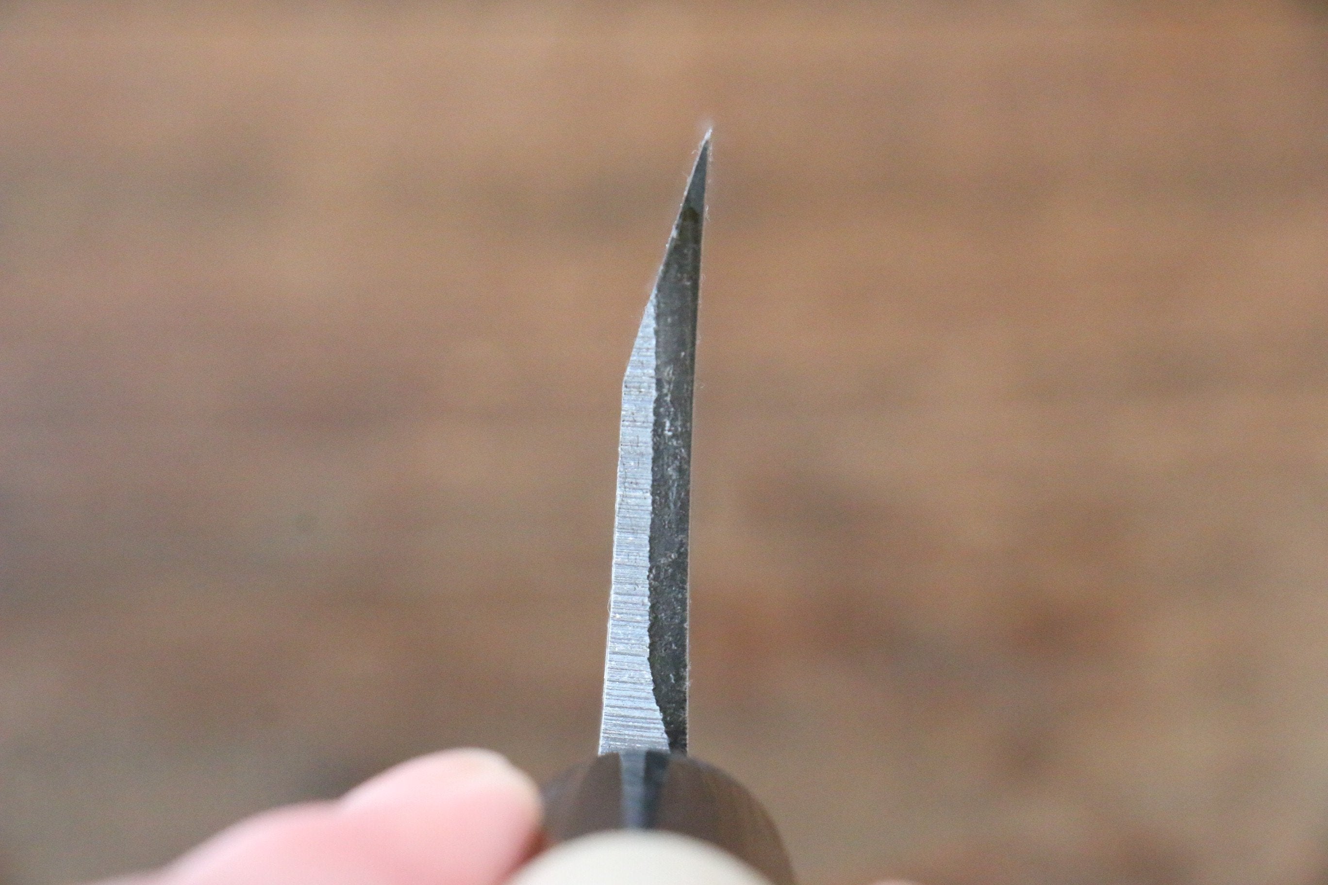 Sakai Takayuki Kasumitogi White Steel Ittouryumon engraving Deba - Japanny - Best Japanese Knife