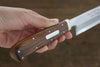 Sakai Takayuki INOX Molybdenum Yanagiba  Desert Ironwood(Sugihara model) Handle - Japanny - Best Japanese Knife