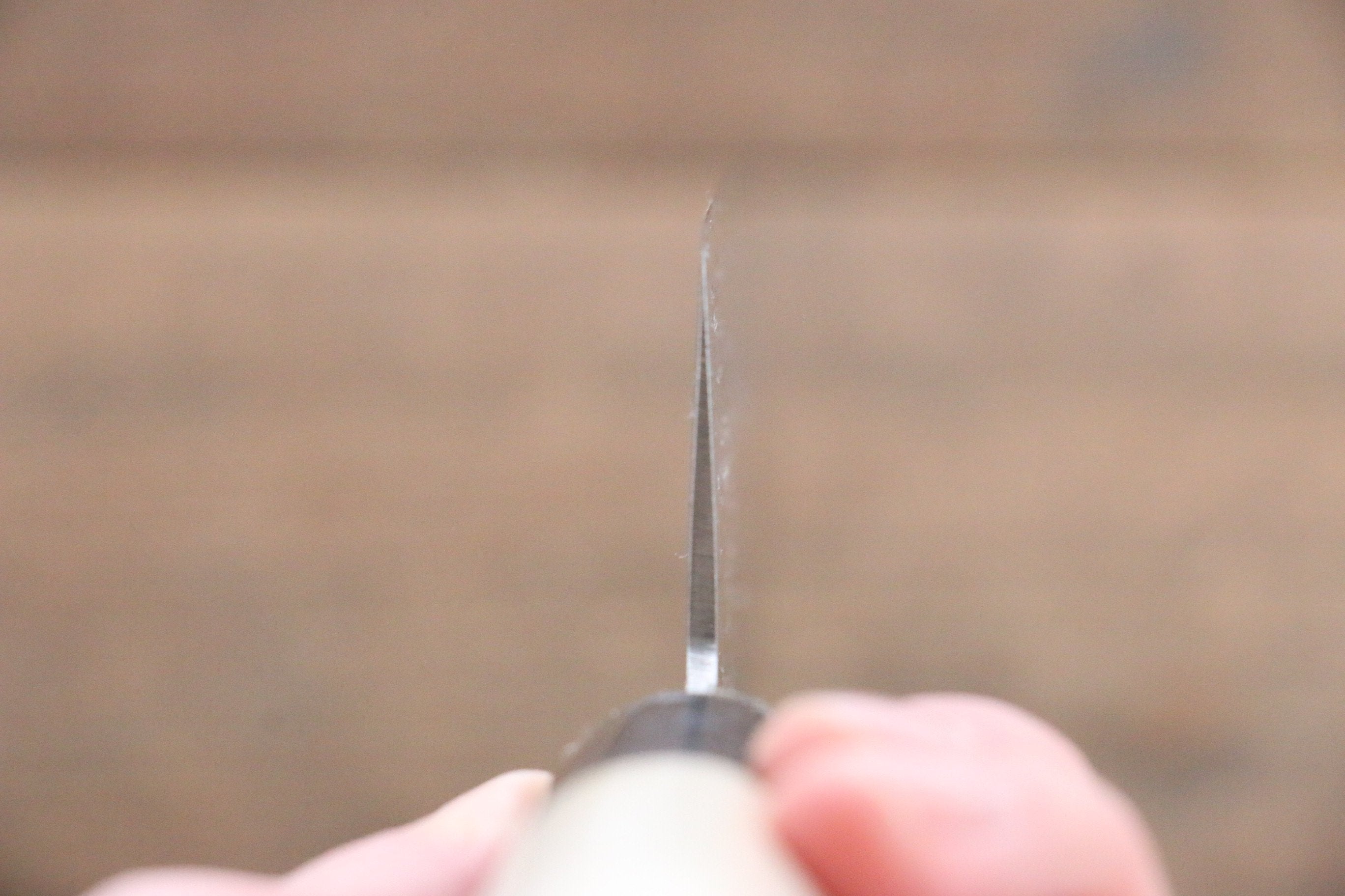 Sakai Takayuki AUS10 45 Layer Damascus Gyuto 240mm Magnolia Handle - Japanny - Best Japanese Knife