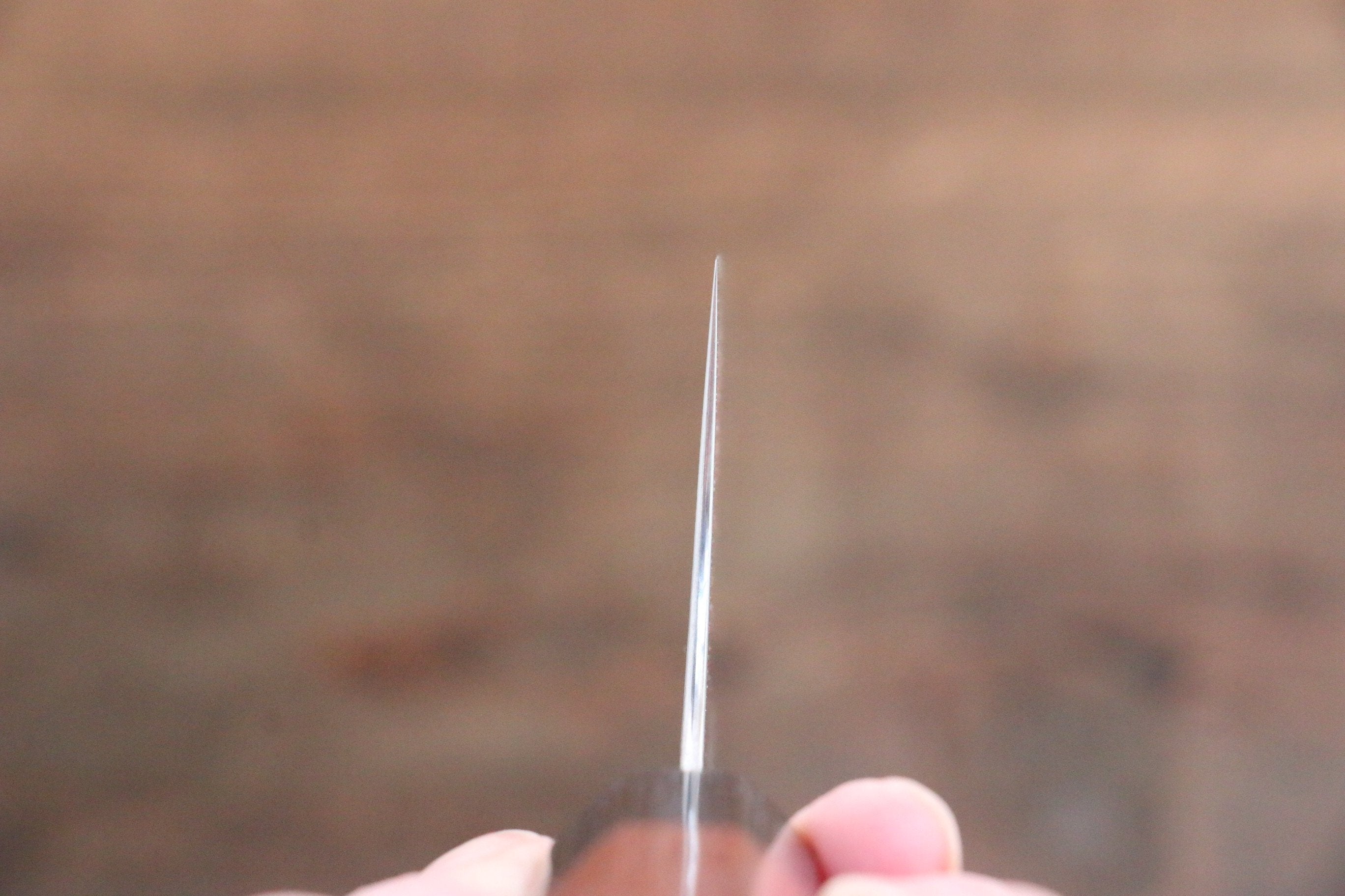 Shibata Takayuki Koutetsu SG2 Bunka  180mm Jarrah Handle - Japanny - Best Japanese Knife