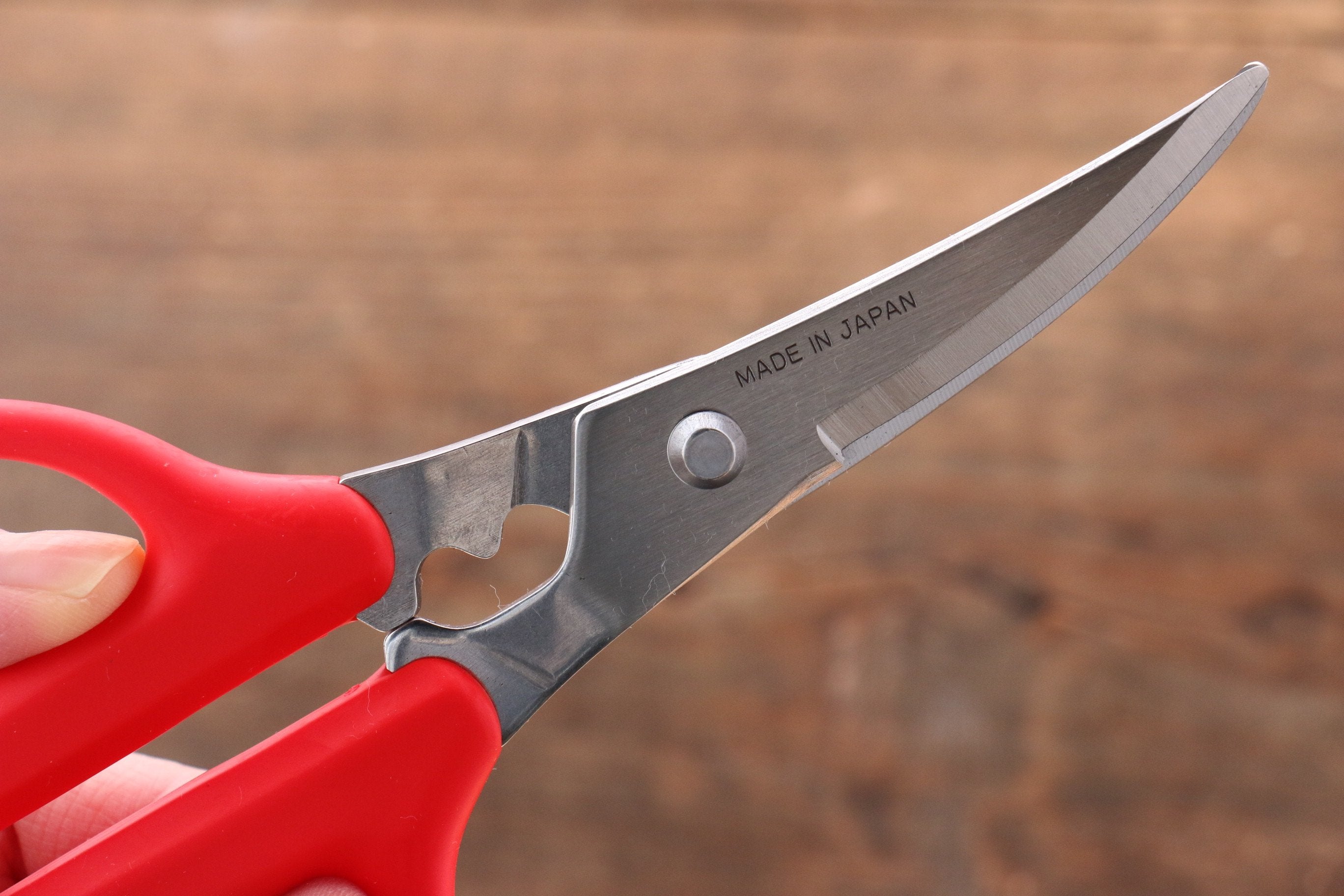 MT Stainless Steel Scissors - Japanny - Best Japanese Knife