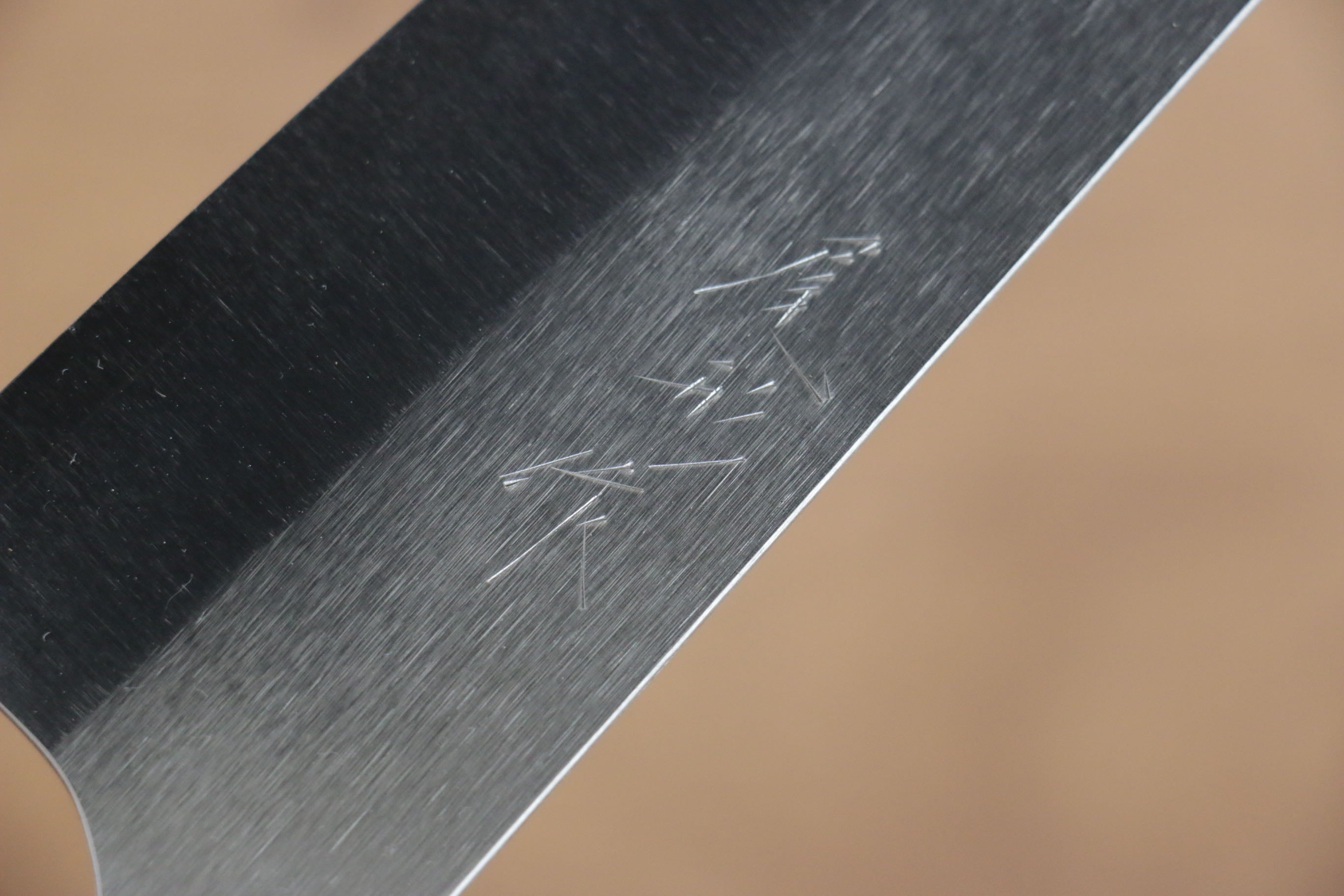 Shungo Ogata SG2 Gyuto 210mm Shitan Handle - Japanny - Best Japanese Knife