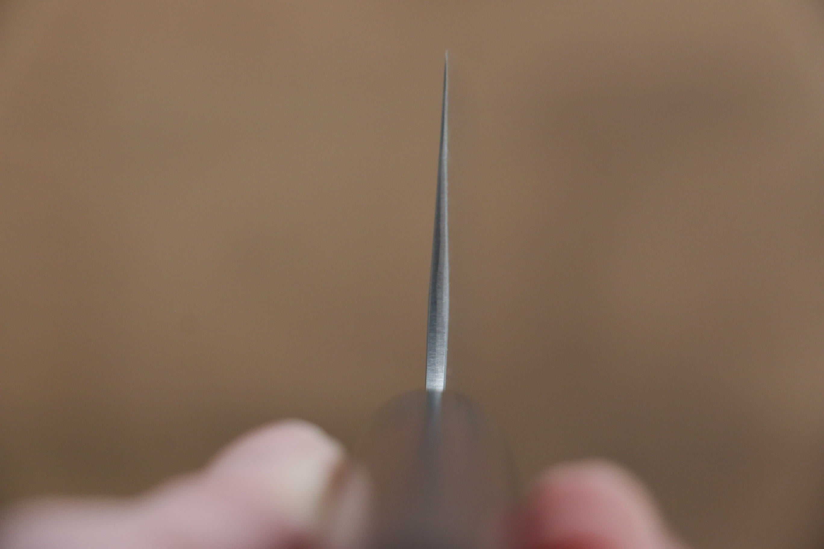 Shungo Ogata SG2 Santoku 180mm Shitan Handle - Japanny - Best Japanese Knife