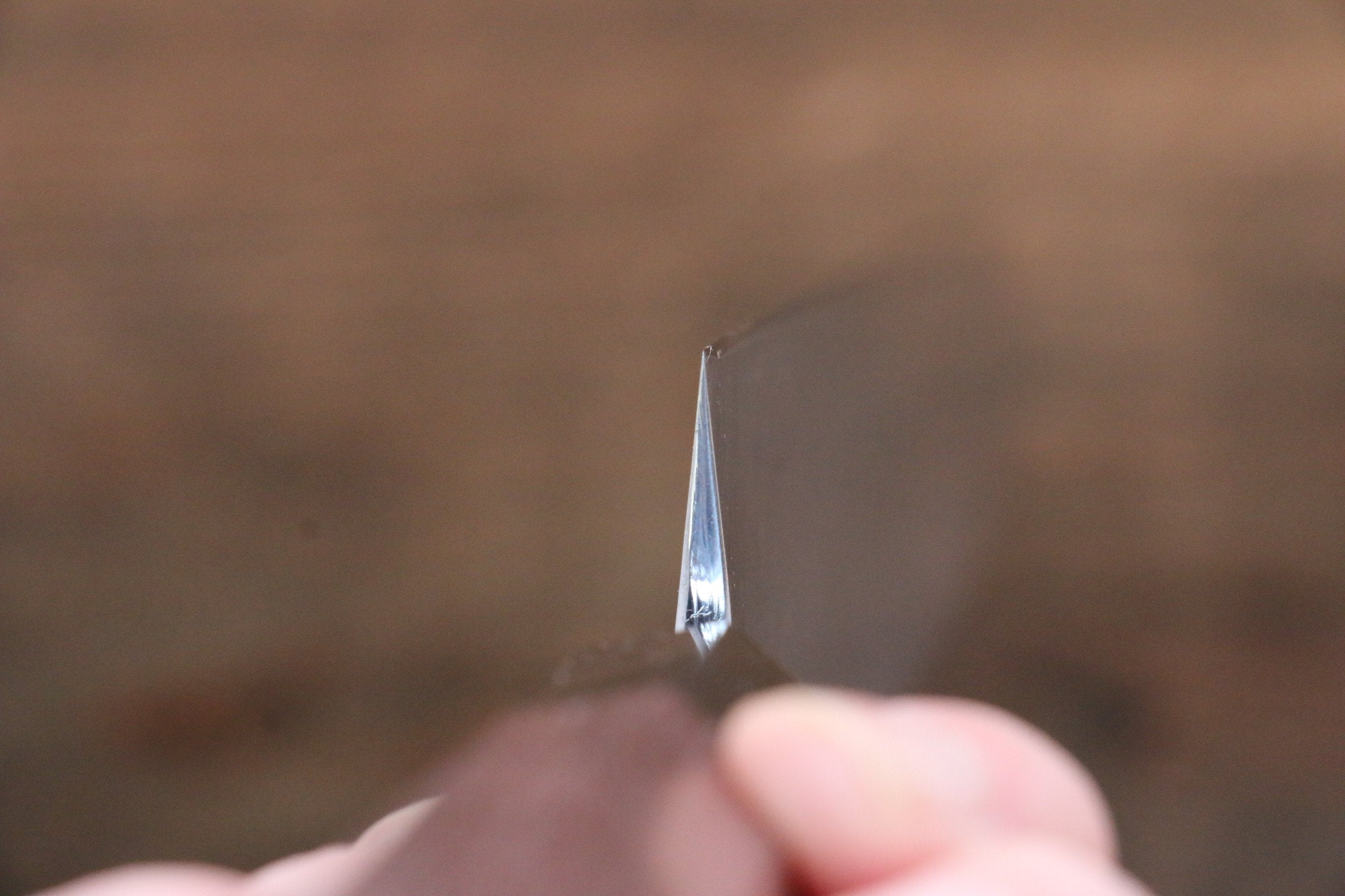 Sukenari SG2 2 Layer Yanagiba 330mm Shitan Handle - Japanny - Best Japanese Knife