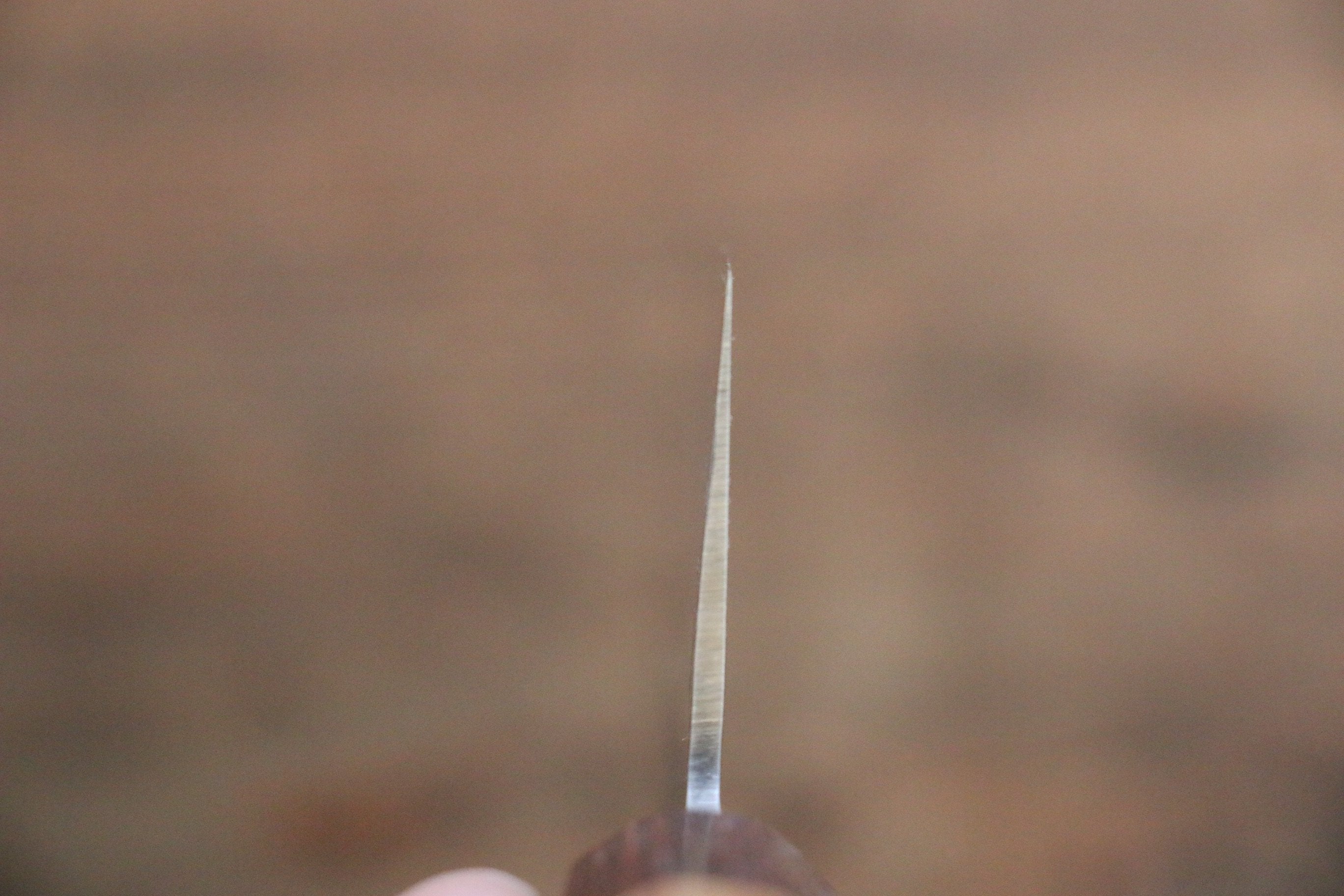 Sakai Takayuki VG10 33 Layer Damascus Japanese Chef Knife Sujihiki 240mm, Gyuto 240mm& Petty 150mm Set with Keyaki Handle(Japanese Elm) - Japanny - Best Japanese Knife