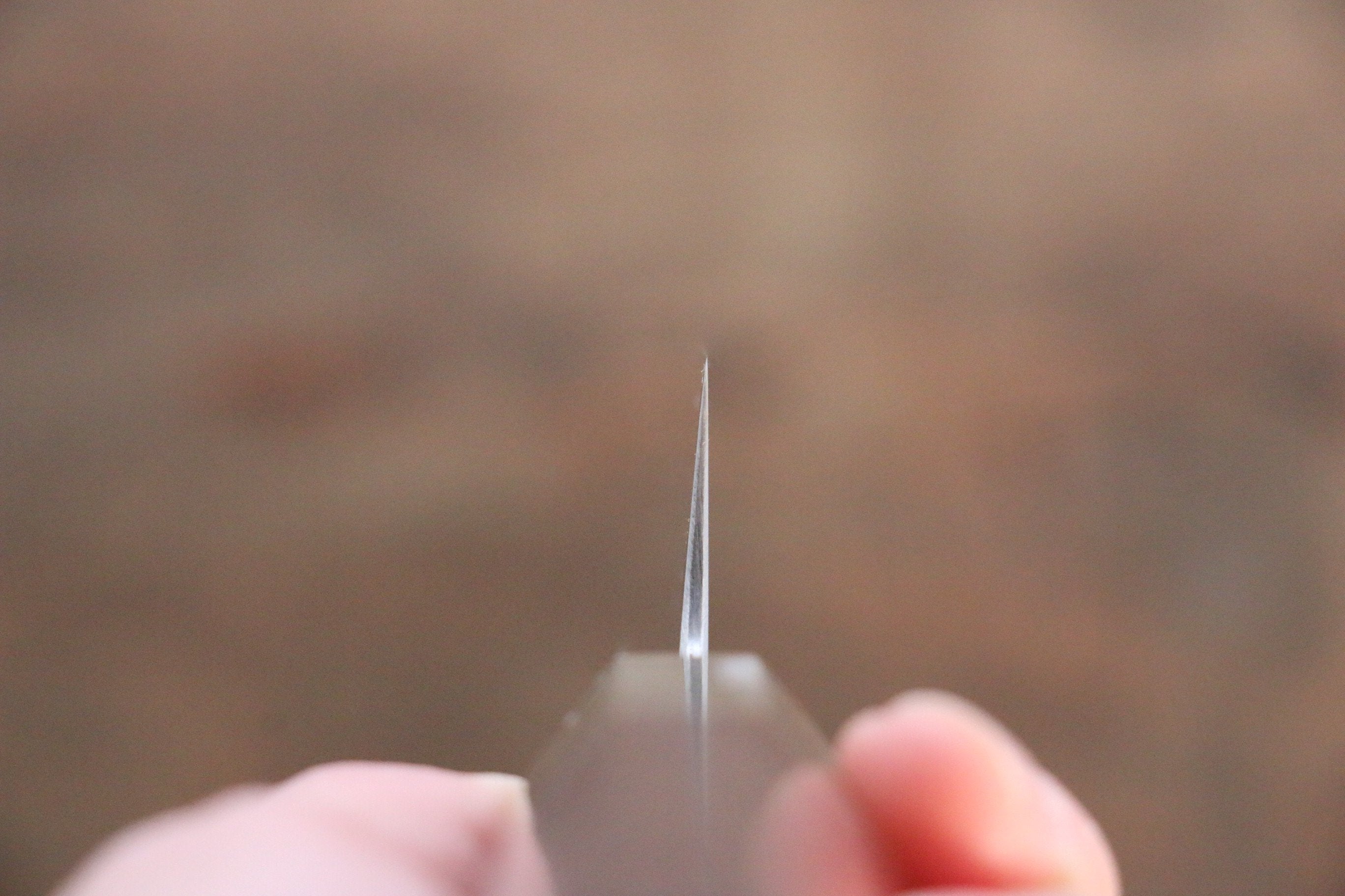 Sukenari HAP40 3 Layer Sujihiki 270mm Shitan Handle - Japanny - Best Japanese Knife