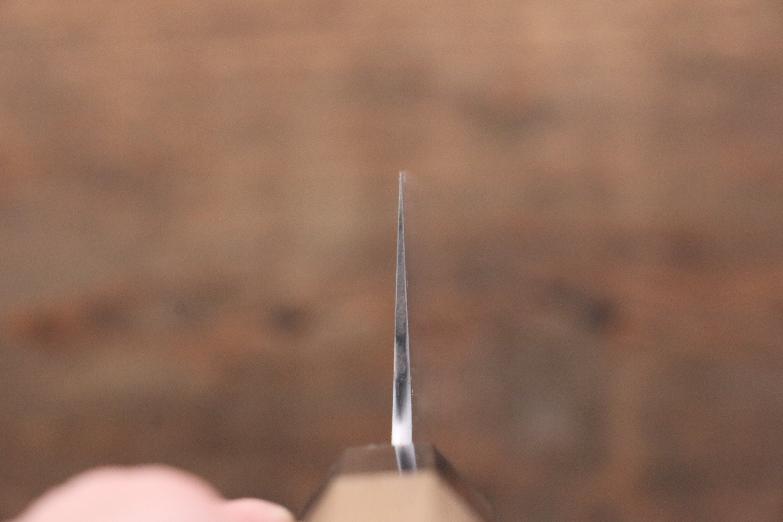 Sukenari ZDP189 3 Layer Gyuto 270mm Magnolia Handle - Japanny - Best Japanese Knife