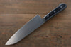 Iseya Molybdenum Steel petty Knife 150mm & Santoku Knife 180mm with Black Packer wood Handle Set - Japanny - Best Japanese Knife