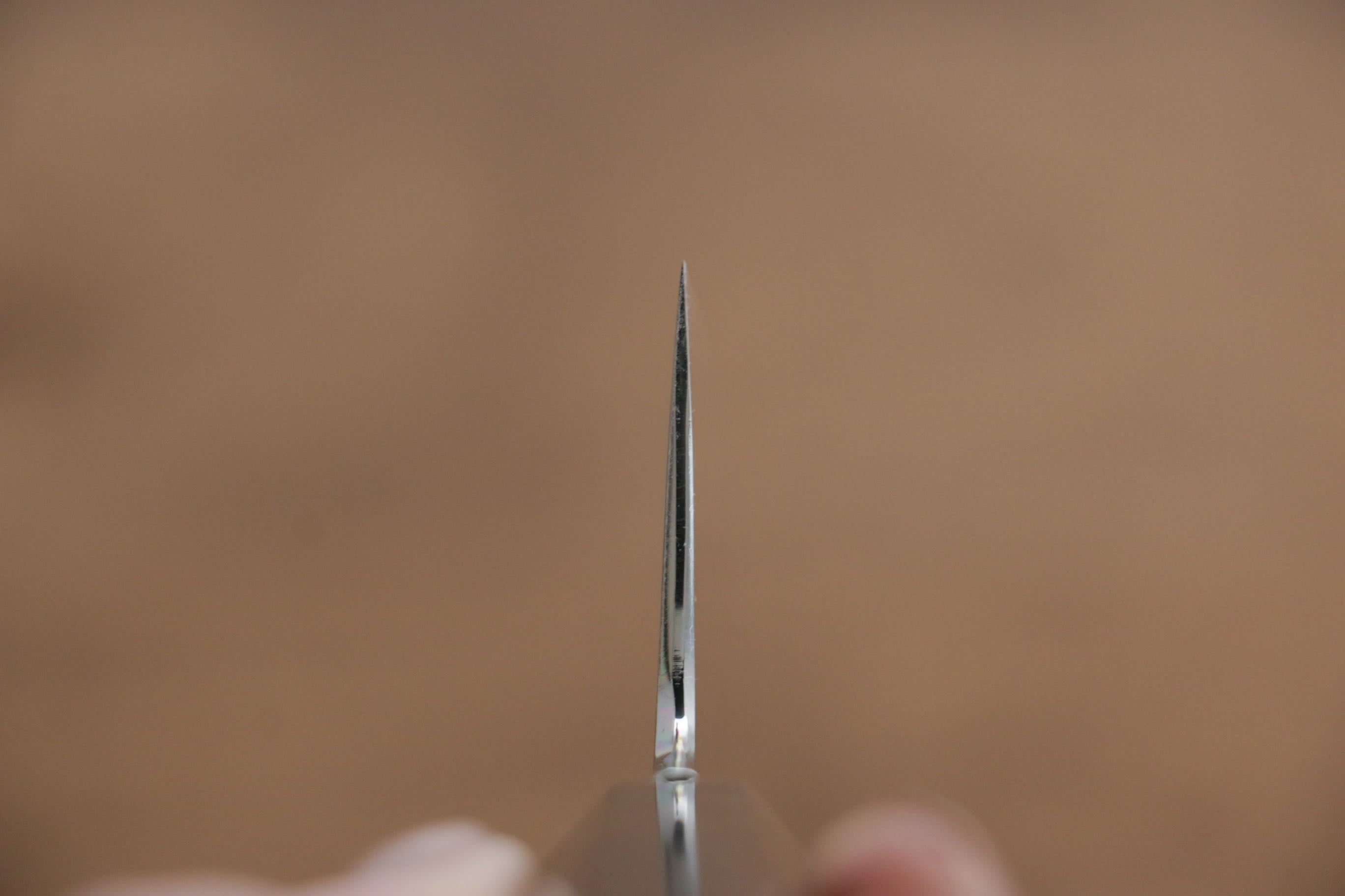 Jikko Fujisan Honyaki White Steel No.3 Gyuto  210mm Ebony Wood Handle Kasumi - Japanny - Best Japanese Knife