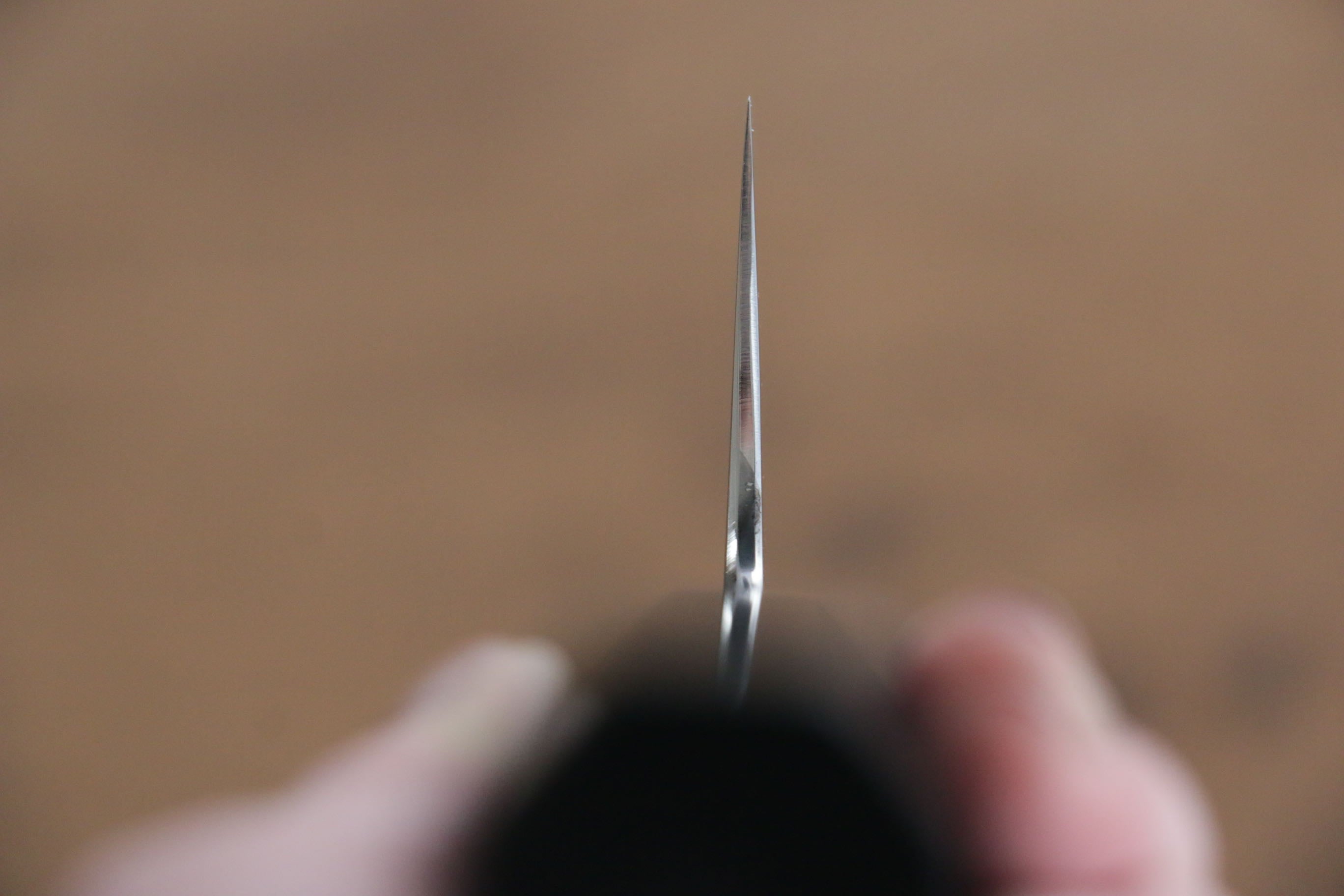 Jikko Fujisan Honyaki White Steel No.3 Gyuto  240mm Ebony Wood Handle Kasumi - Japanny - Best Japanese Knife