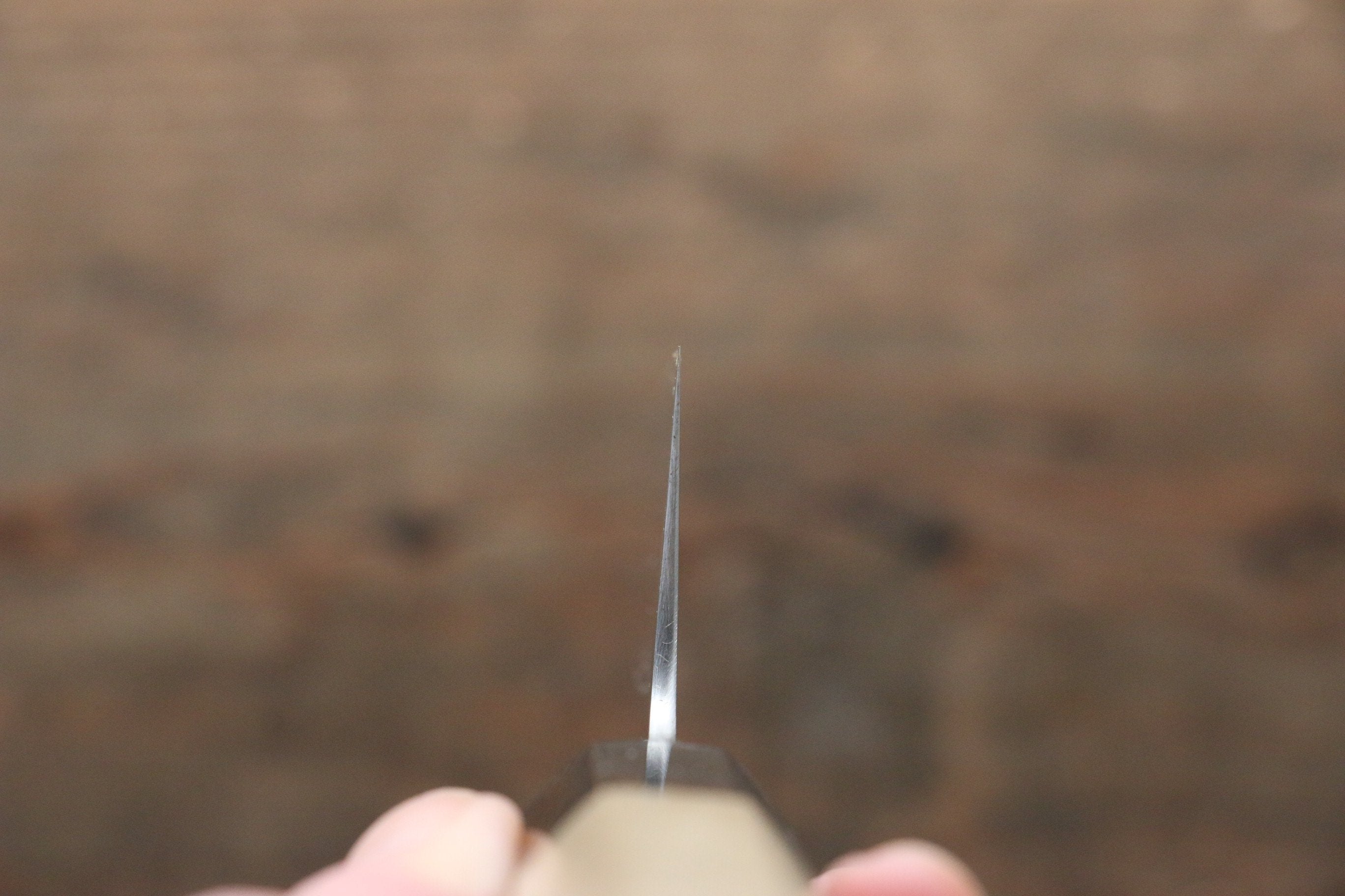 Sukenari ZDP189 3 Layer Kiritsuke Gyuto 210mm Magnolia Handle - Japanny - Best Japanese Knife