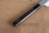 Sakai Takayuki Honyaki VG10 Dragon engraving Sakimaru Yanagiba 300mm Wenge Handle with Sheath - Japanny - Best Japanese Knife