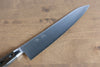 Seisuke SG2 Gyuto 240mm Brown Pakka wood Handle - Japanny - Best Japanese Knife