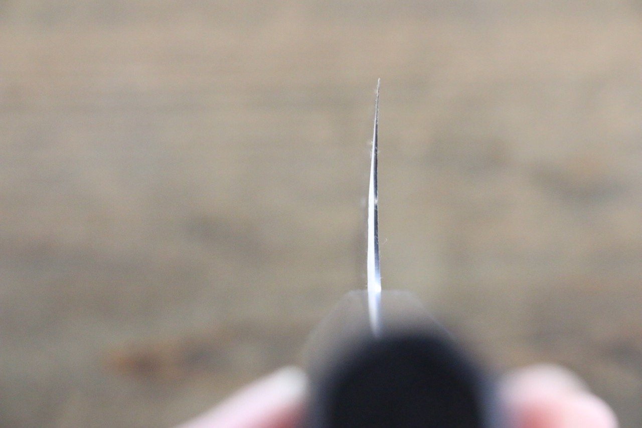 Seisuke Blue Steel No.2 Hammered Damascus Gyuto 210mm Shitan Handle - Japanny - Best Japanese Knife