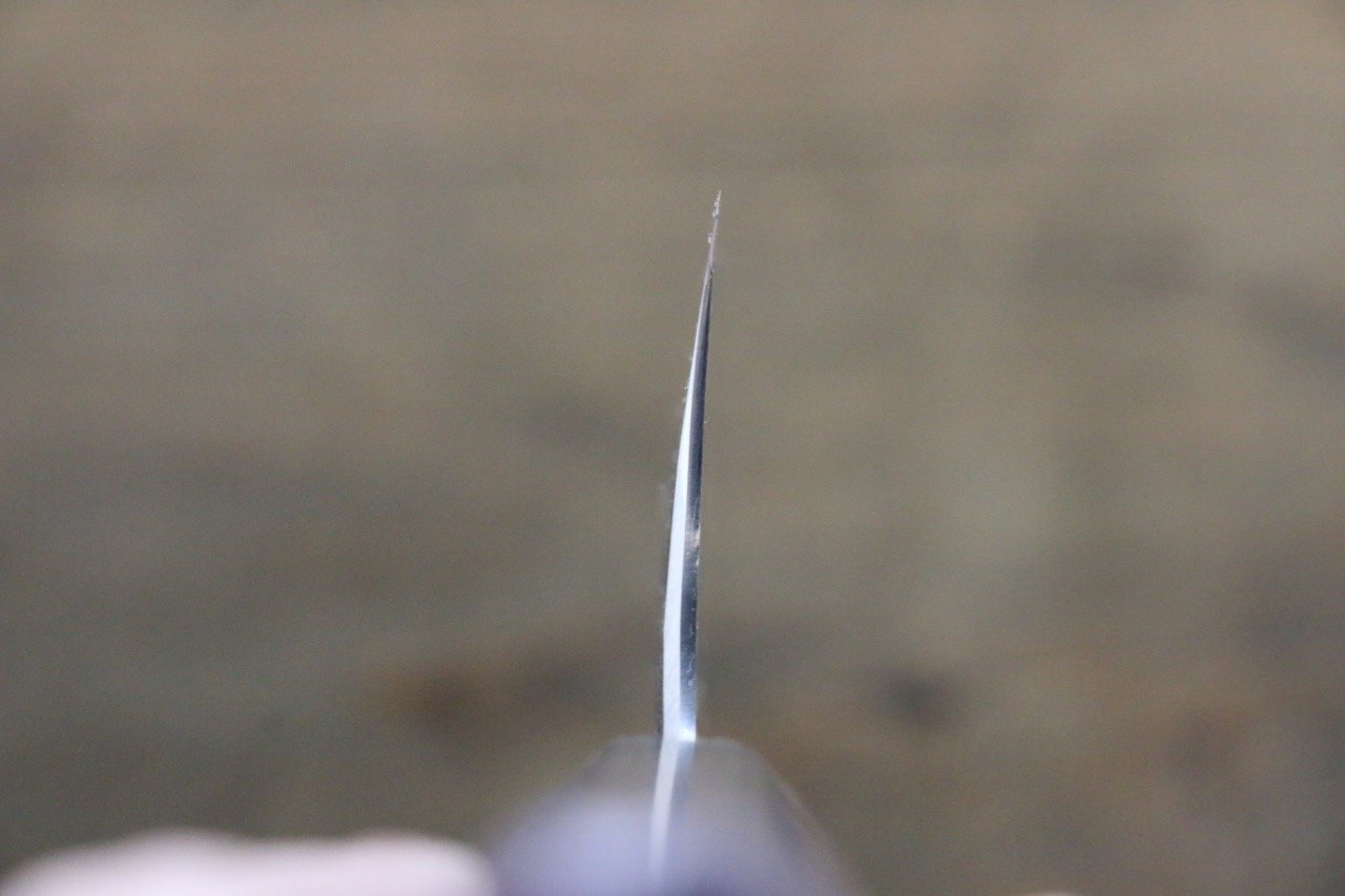 Seisuke Blue Steel No.2 Hammered Kurouchi Gyuto 240mm Shitan Handle - Japanny - Best Japanese Knife