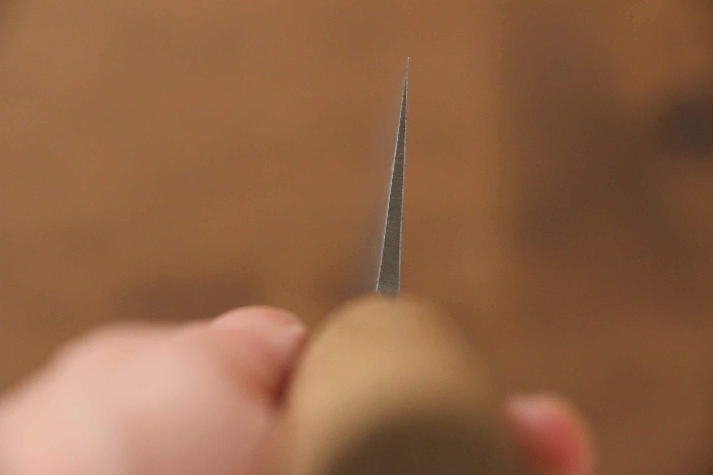 Seisuke Blue Steel No.2 Nashiji Gyuto 180mm Chestnut Handle - Japanny - Best Japanese Knife