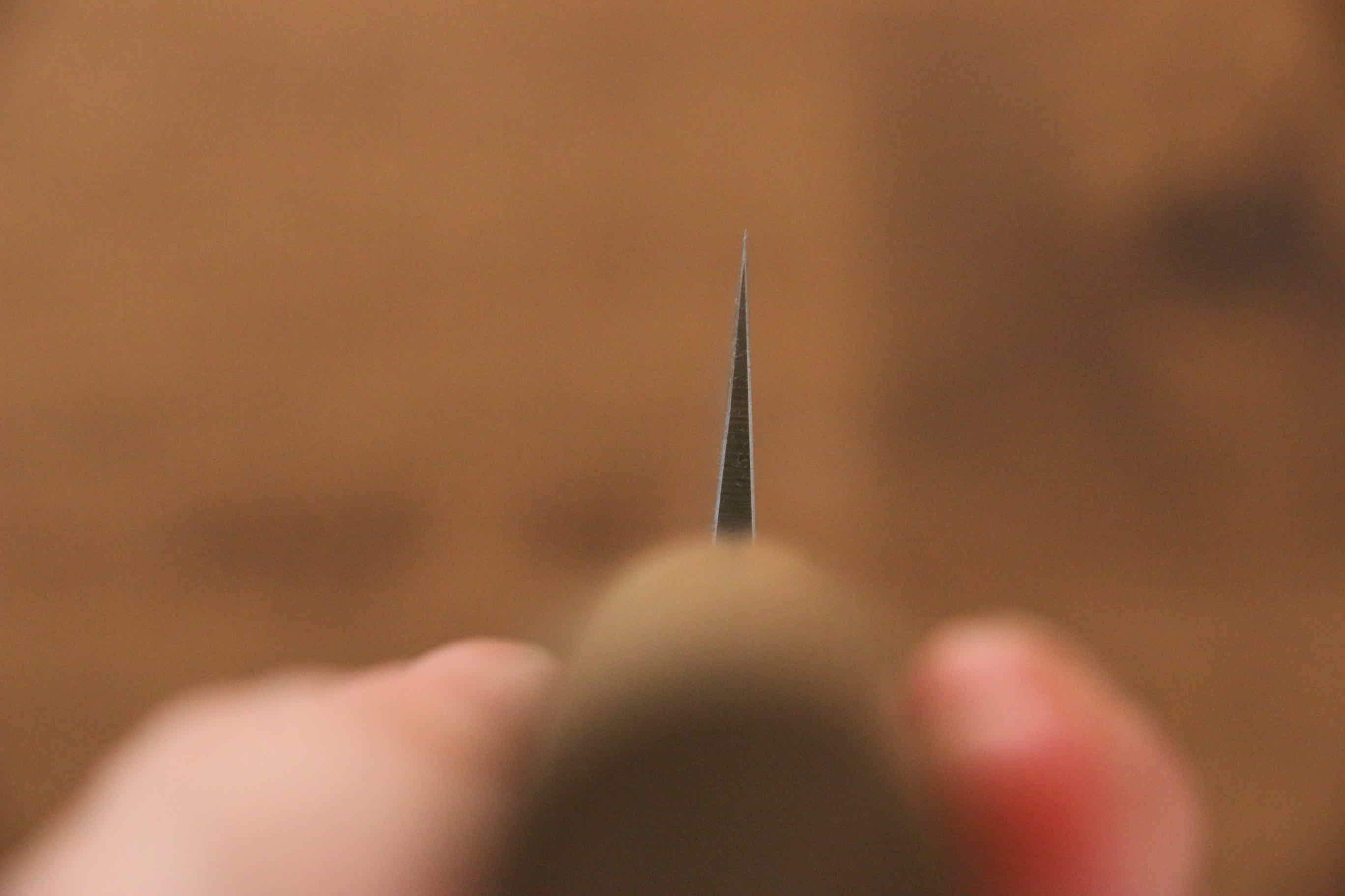 Seisuke Blue Steel No.2 Nashiji Sujihiki 240mm Chestnut Handle - Japanny - Best Japanese Knife