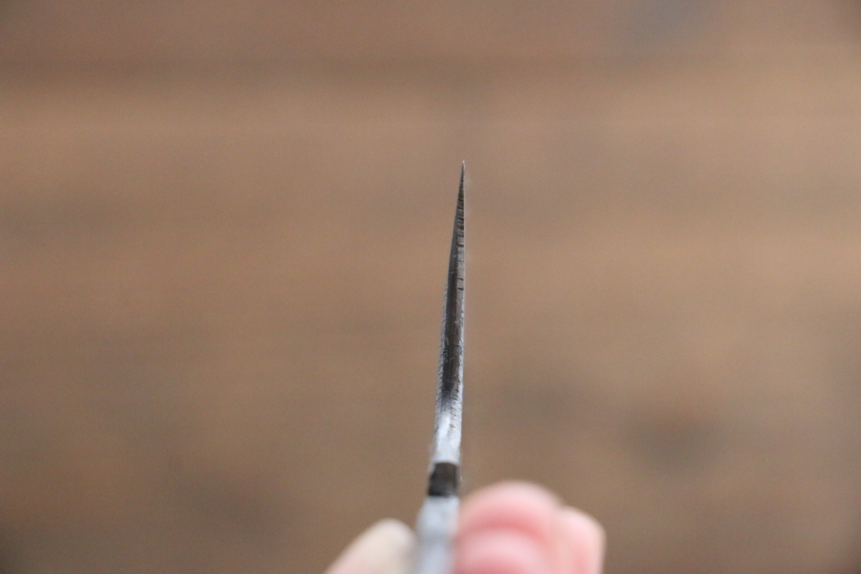 Minamoto Akitada Hontanren Blue Steel No.2 Gyuto 210mm (Blade only) - Japanny - Best Japanese Knife