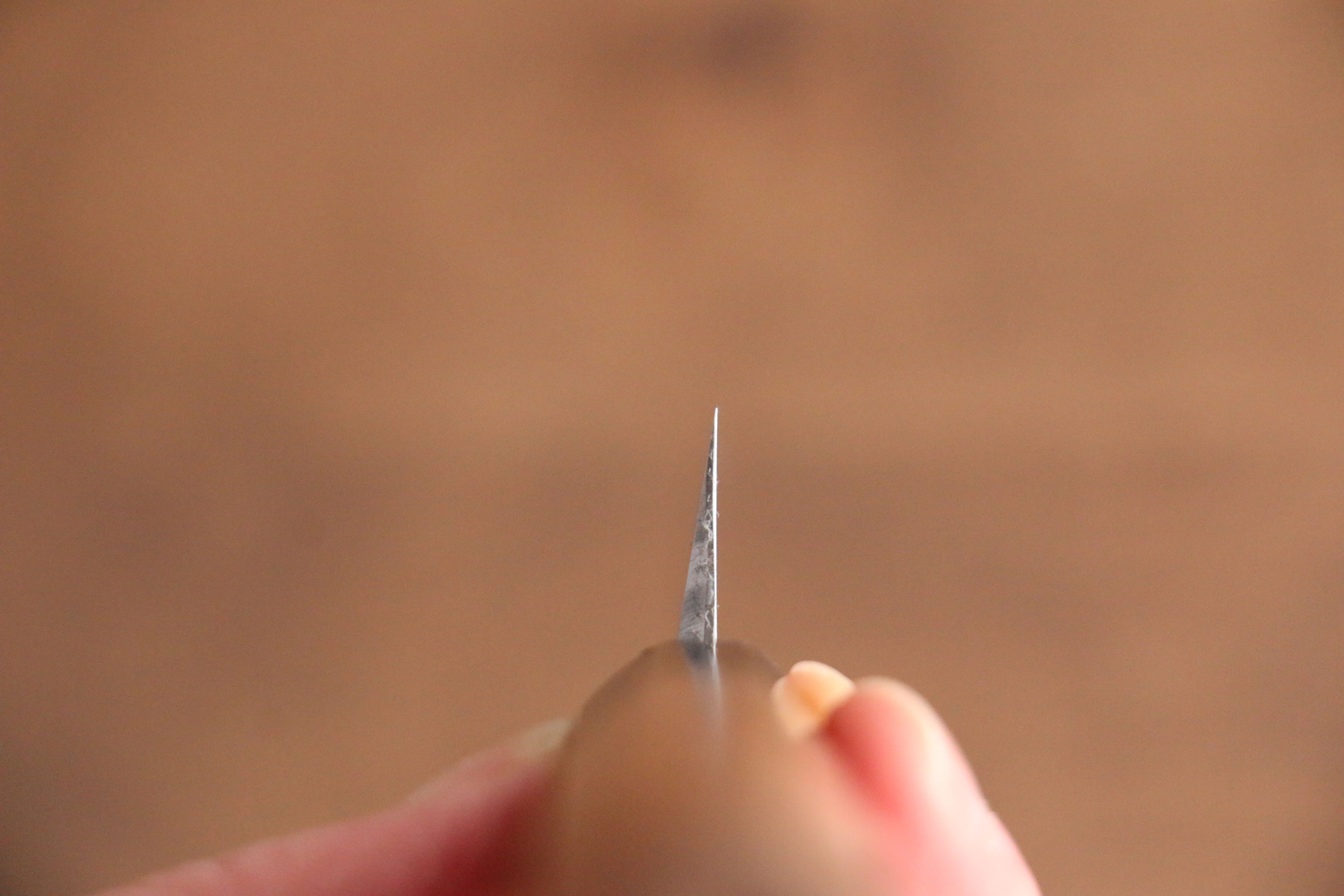 Tessen by Tanaka Tamahagane Petty-Utility 145mm Wild Cherry Handle - Japanny - Best Japanese Knife