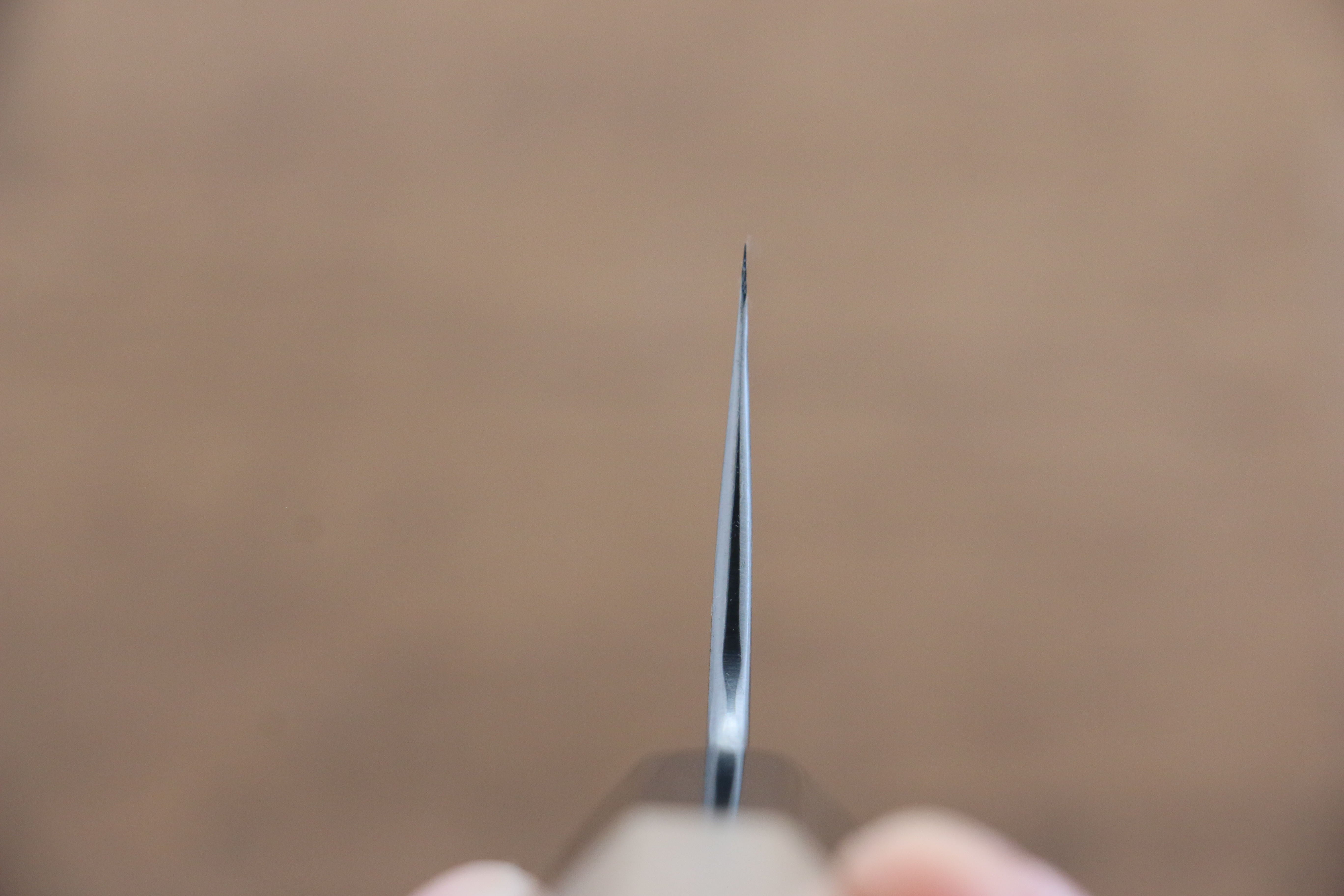 Kikuzuki White Steel No.2 Kasumitogi Gyuto 240mm Magnolia Handle - Japanny - Best Japanese Knife