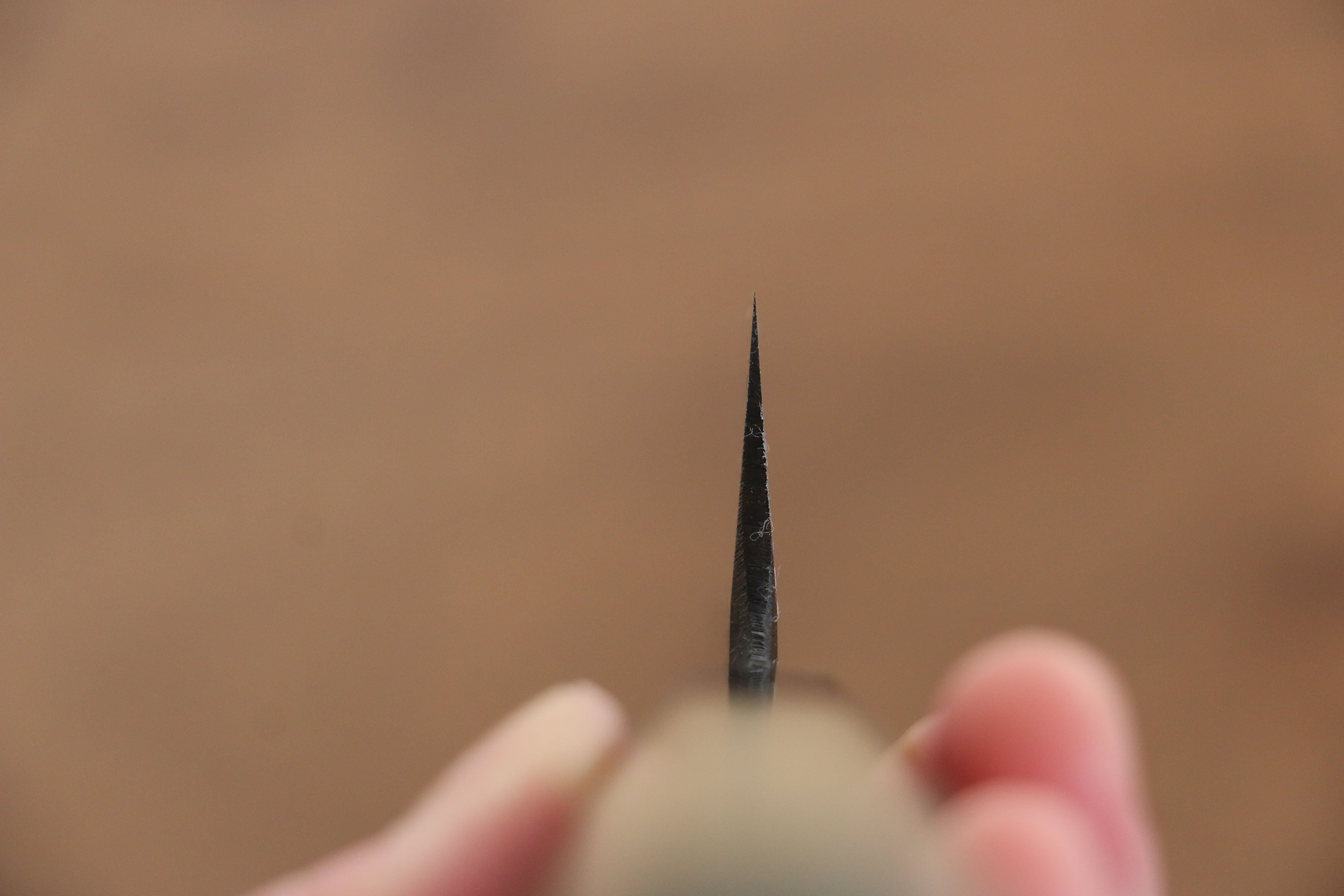 Kikuzuki White Steel No.2 Black Finished Kiritsuke Gyuto 240mm Magnolia Handle - Japanny - Best Japanese Knife