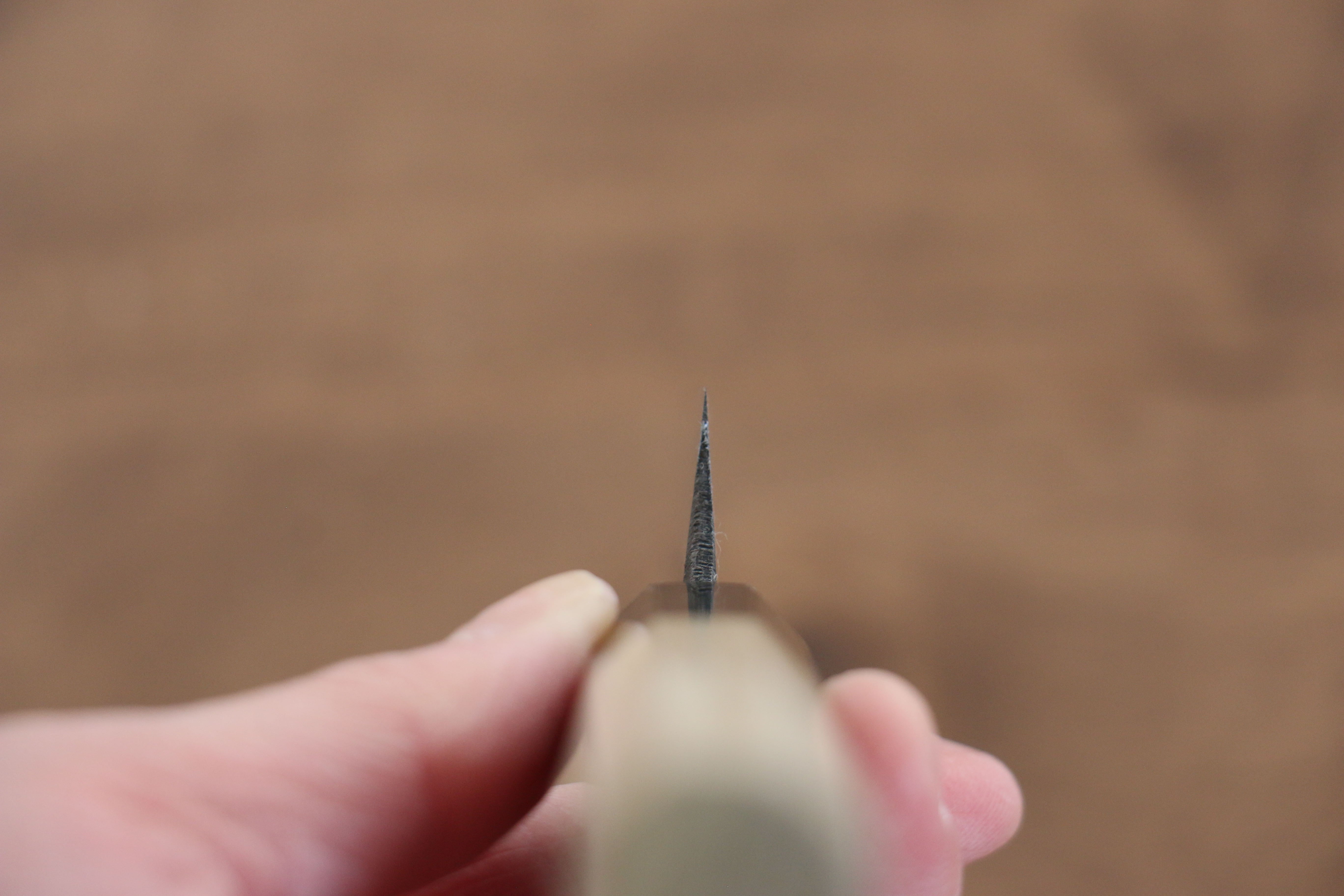 Kikuzuki White Steel No.2 Black Finished Kiritsuke Petty-Utility 135mm Magnolia Handle - Japanny - Best Japanese Knife