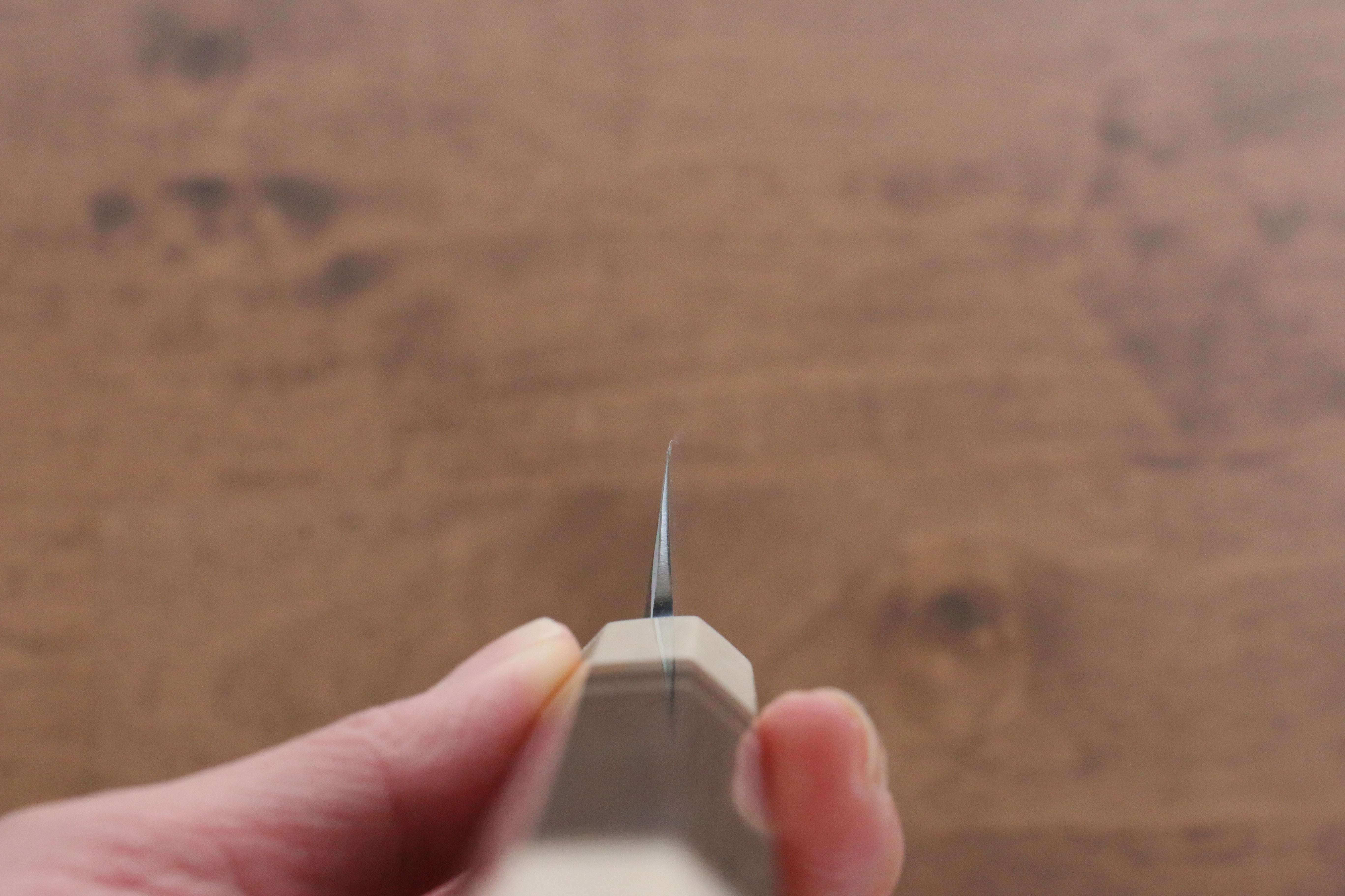 Jikko Shiko Blue Steel Sakimaru Yanagiba  270mm Ebony with Double Ring Handle - Japanny - Best Japanese Knife