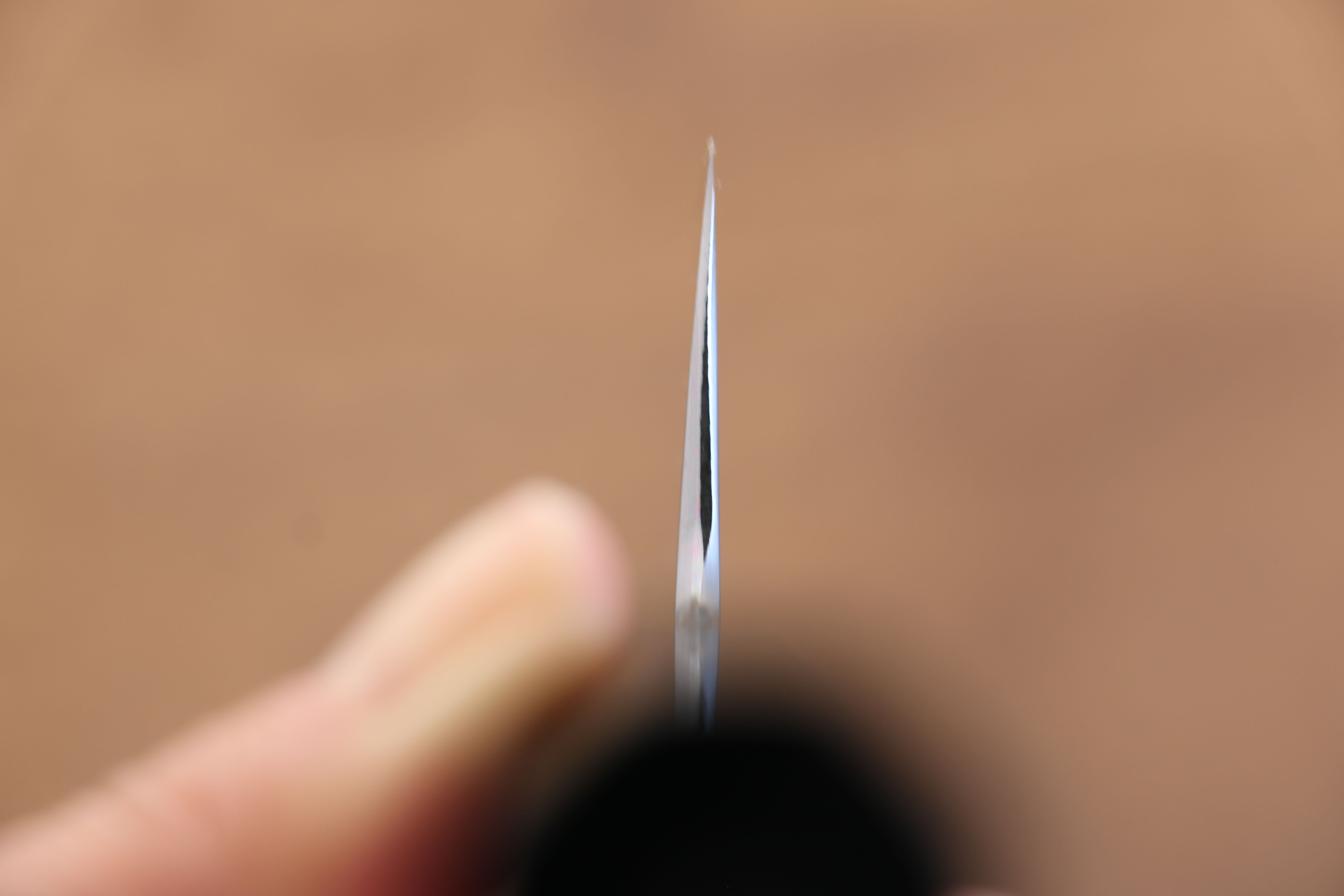 Jikko Blue Steel Damascus Kiritsuke Gyuto  210mm Ebony with Double Ring Handle - Japanny - Best Japanese Knife