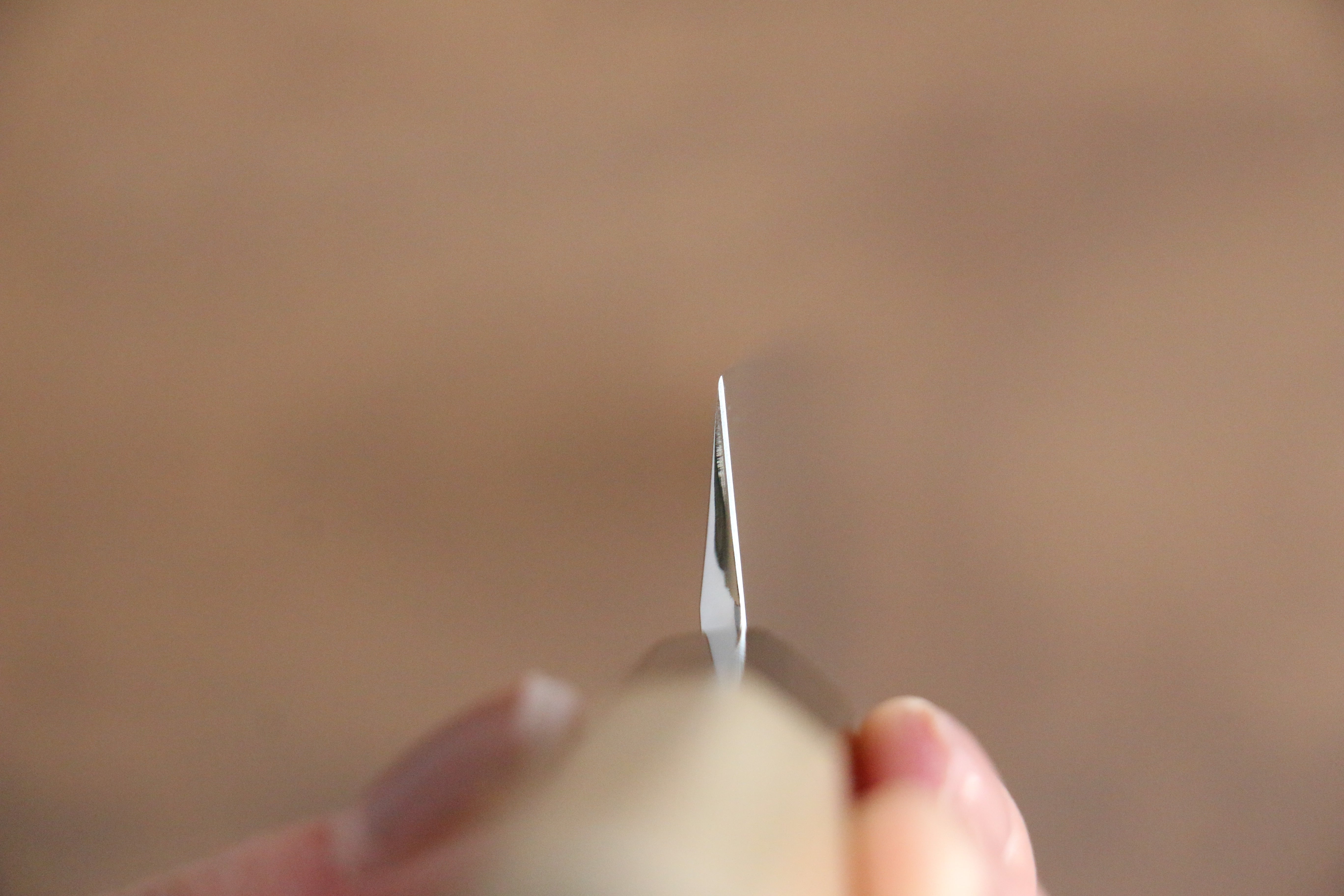 Sakai Kikumori VG10 Mirrored Finish Yanagiba 240mm Magnolia Handle - Japanny - Best Japanese Knife