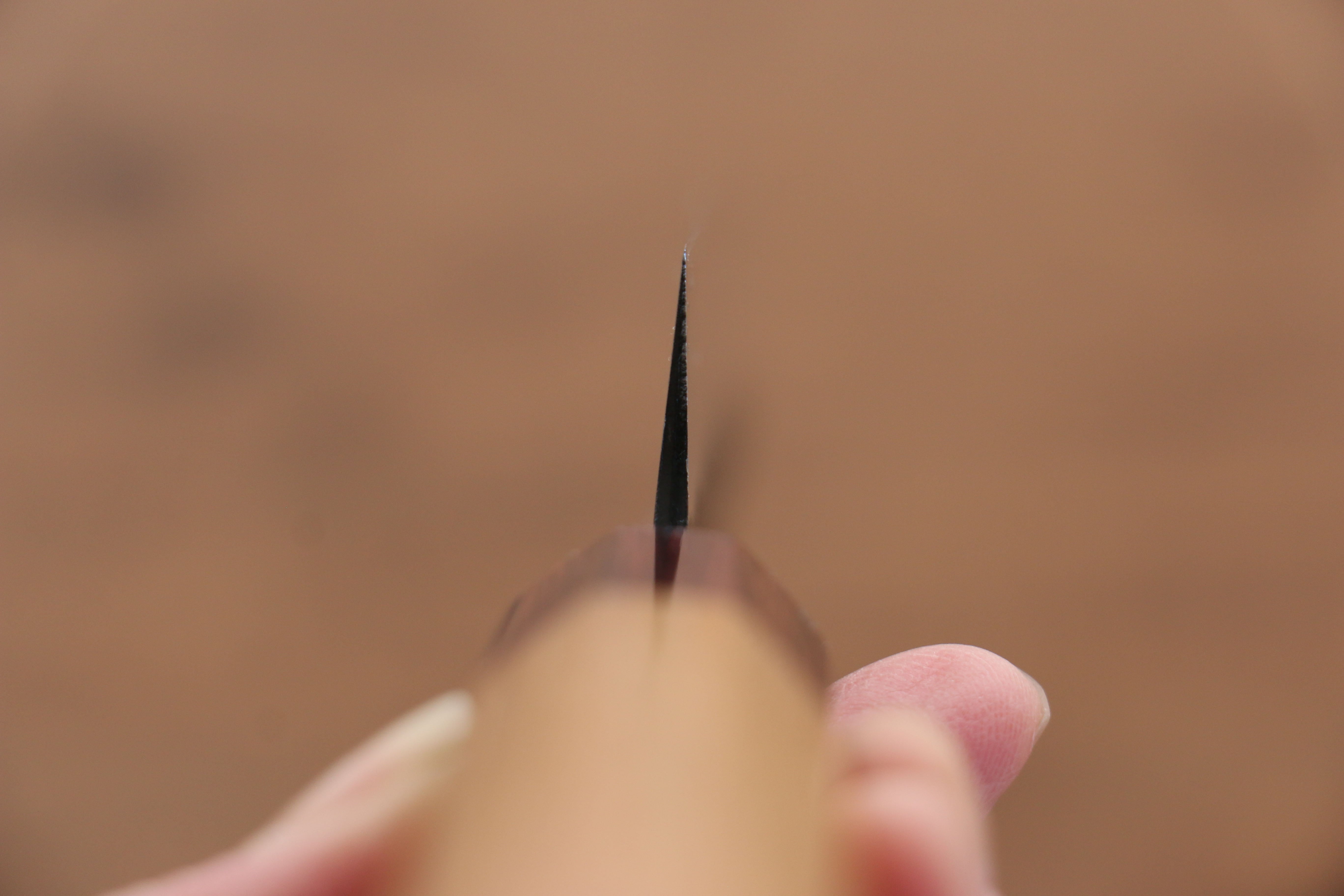 Sakai Takayuki Blue Super Hammered Black Finished Sujihiki 240mm Keyaki (Japanese Elm) Handle - Japanny - Best Japanese Knife