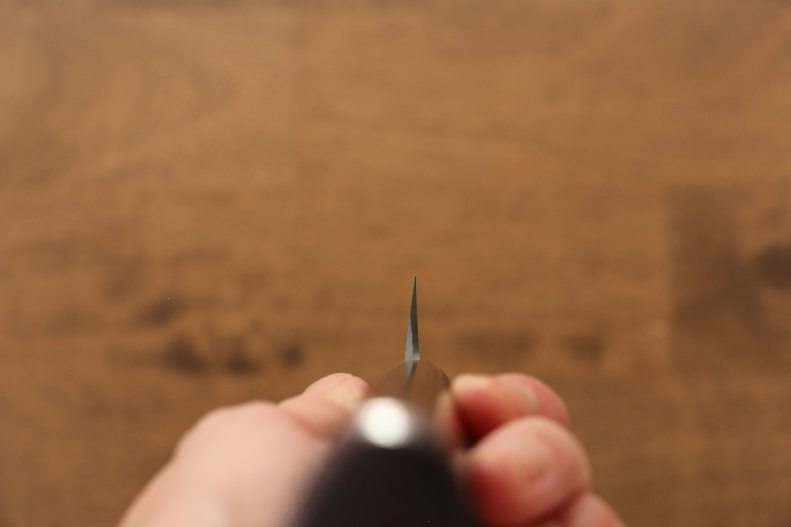 Jikko Silver Steel No.3 Yanagiba  240mm Shitan Handle - Japanny - Best Japanese Knife