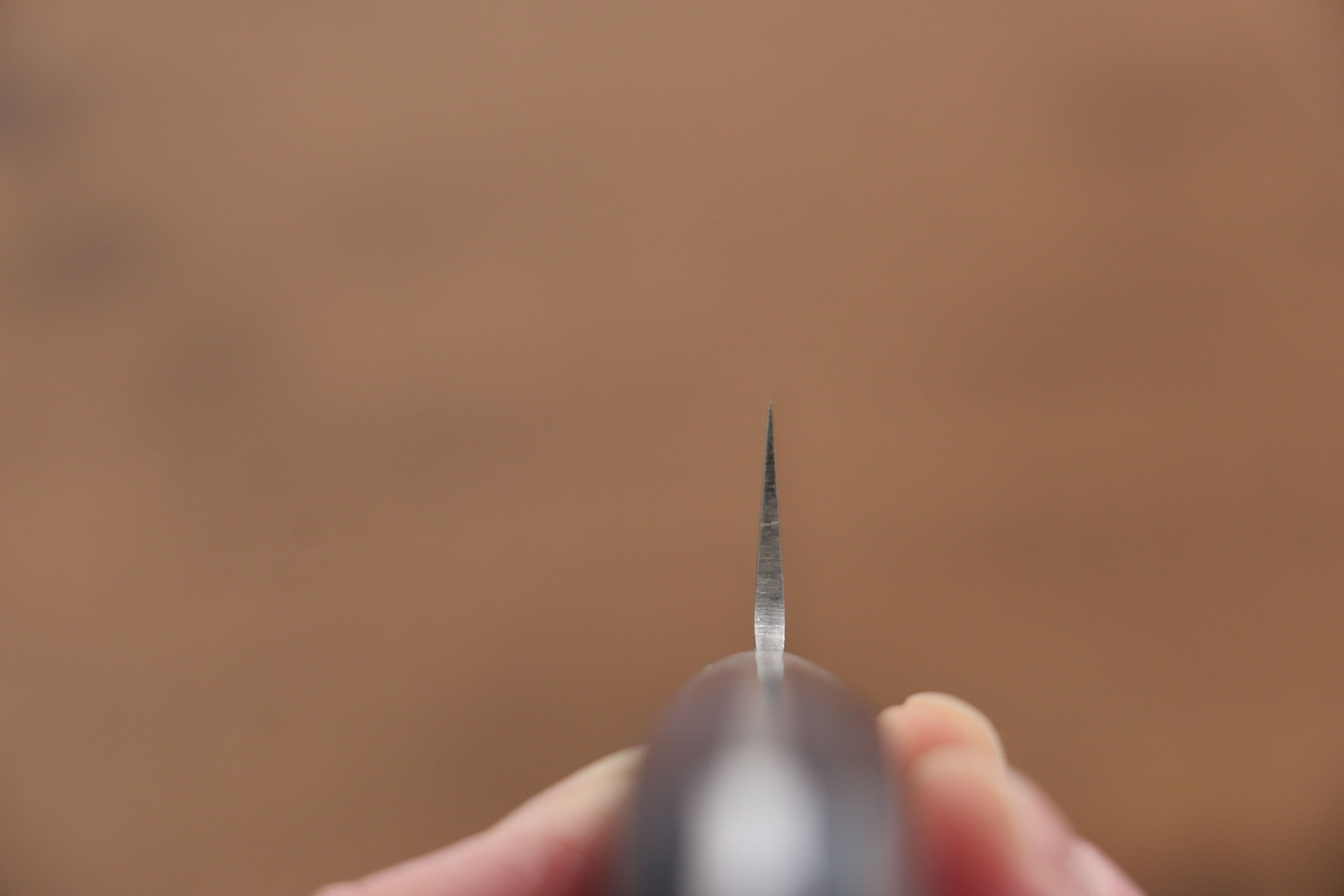 Seisuke Blue Steel No.2 Nashiji Kiritsuke Petty-Utility 145mm Blue Pakka wood Handle - Japanny - Best Japanese Knife