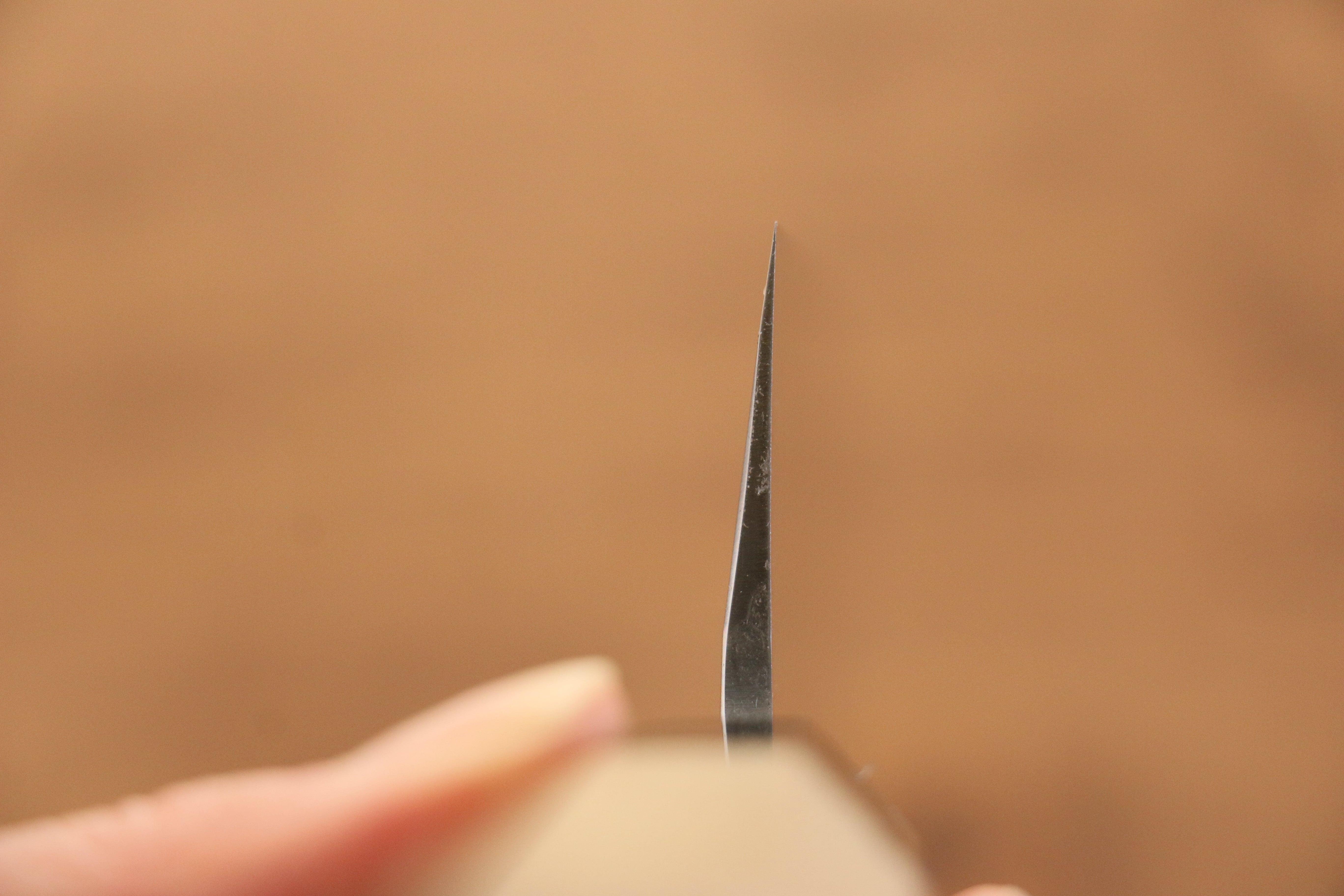 Jikko Arata White Steel No.2 Gyuto  240mm Magnolia Handle - Japanny - Best Japanese Knife