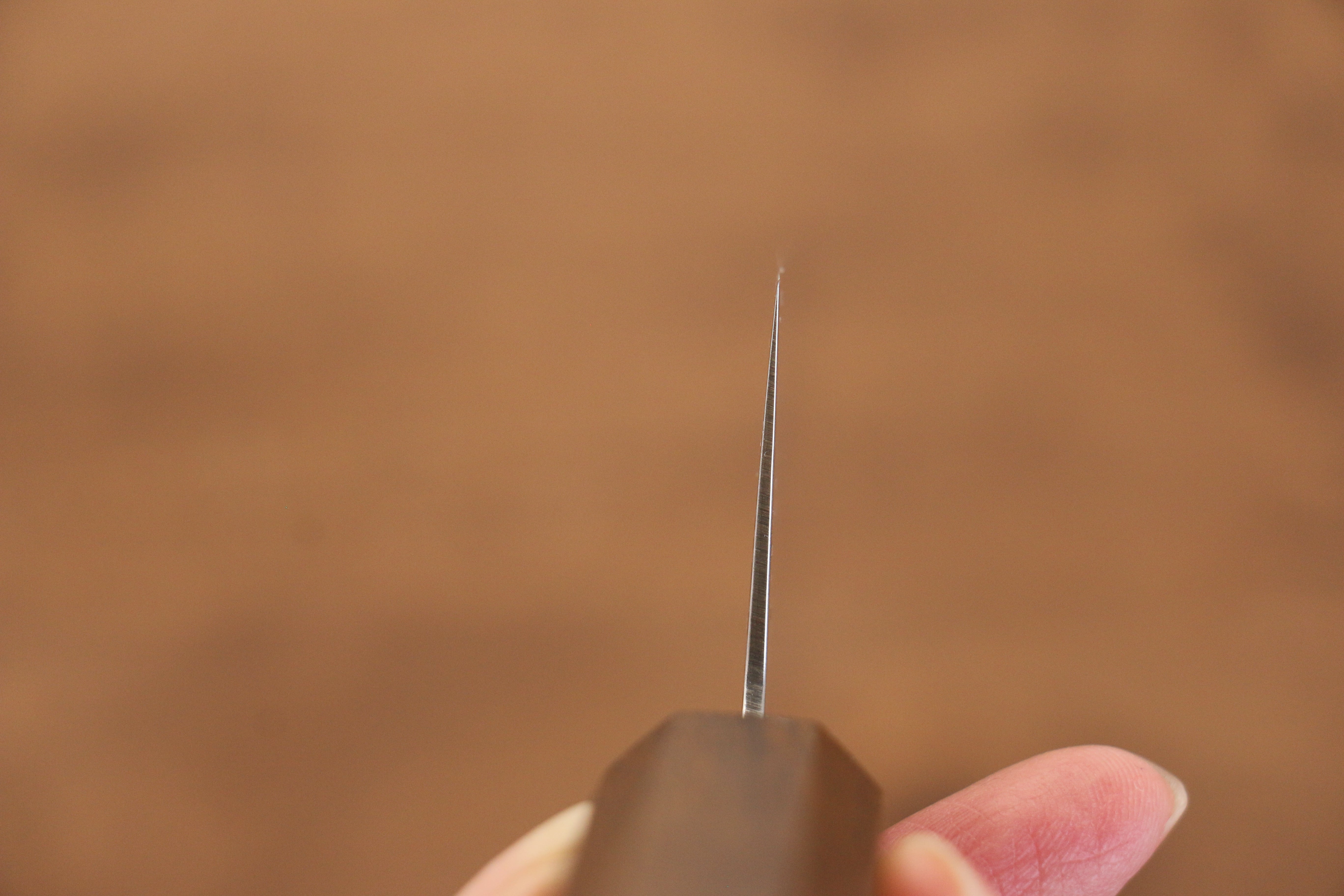 Seisuke ZA-18 Mirrored Finish Damascus Gyuto 210mm Oak Handle - Japanny - Best Japanese Knife